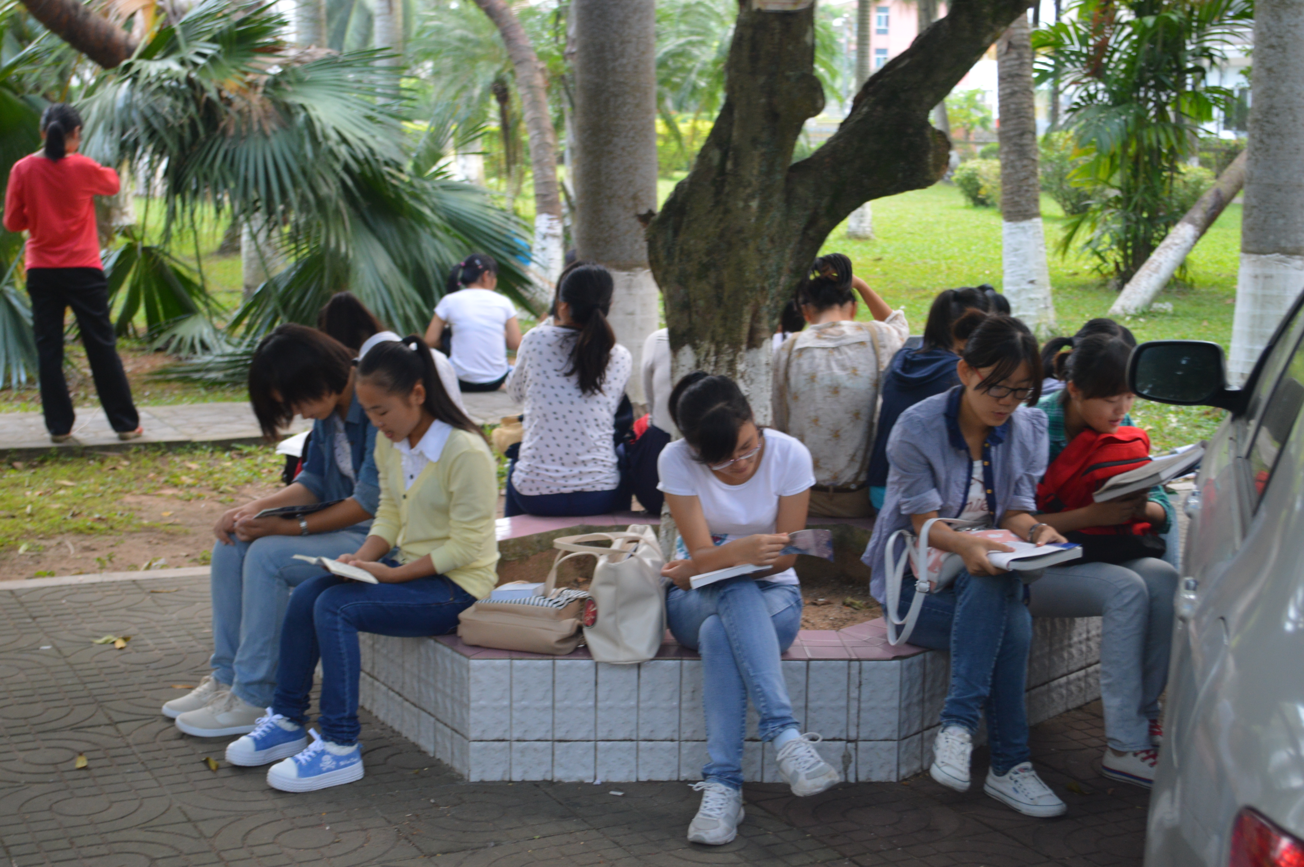 沐浴晨风 书声校园——记数学与统计学院晨读活动    