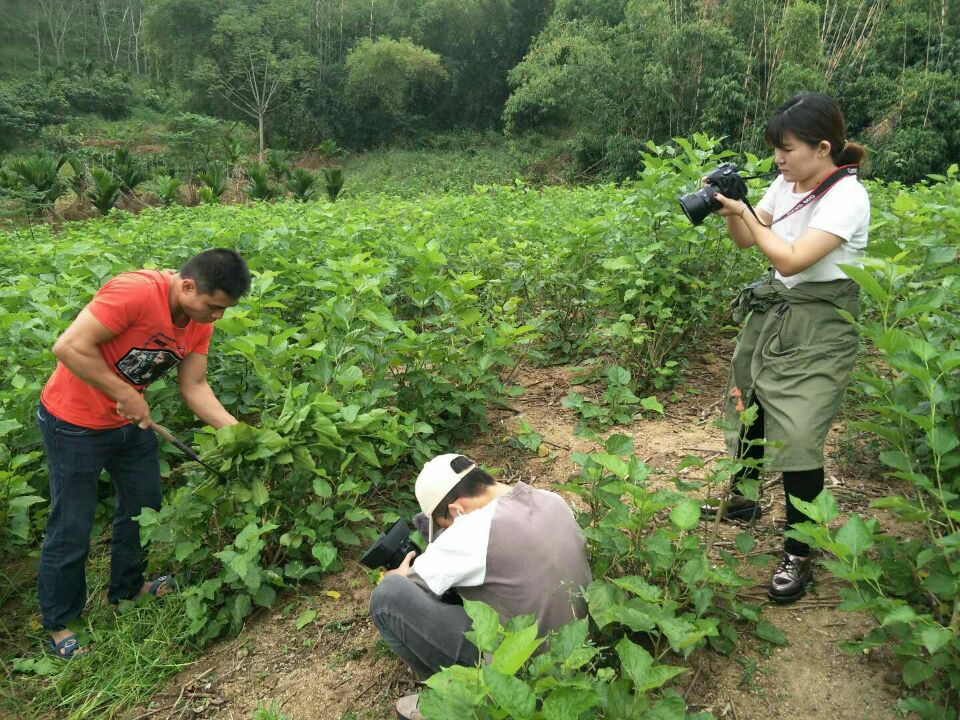 新闻传播与影视学院青年之声・创新创业实践周系列活动