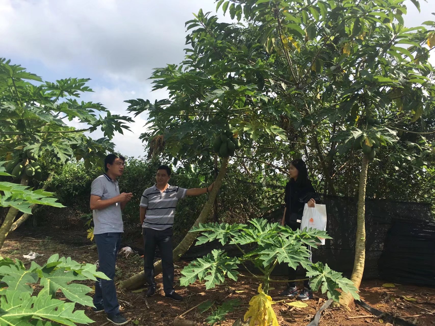 改变定向思维 创新营销方式