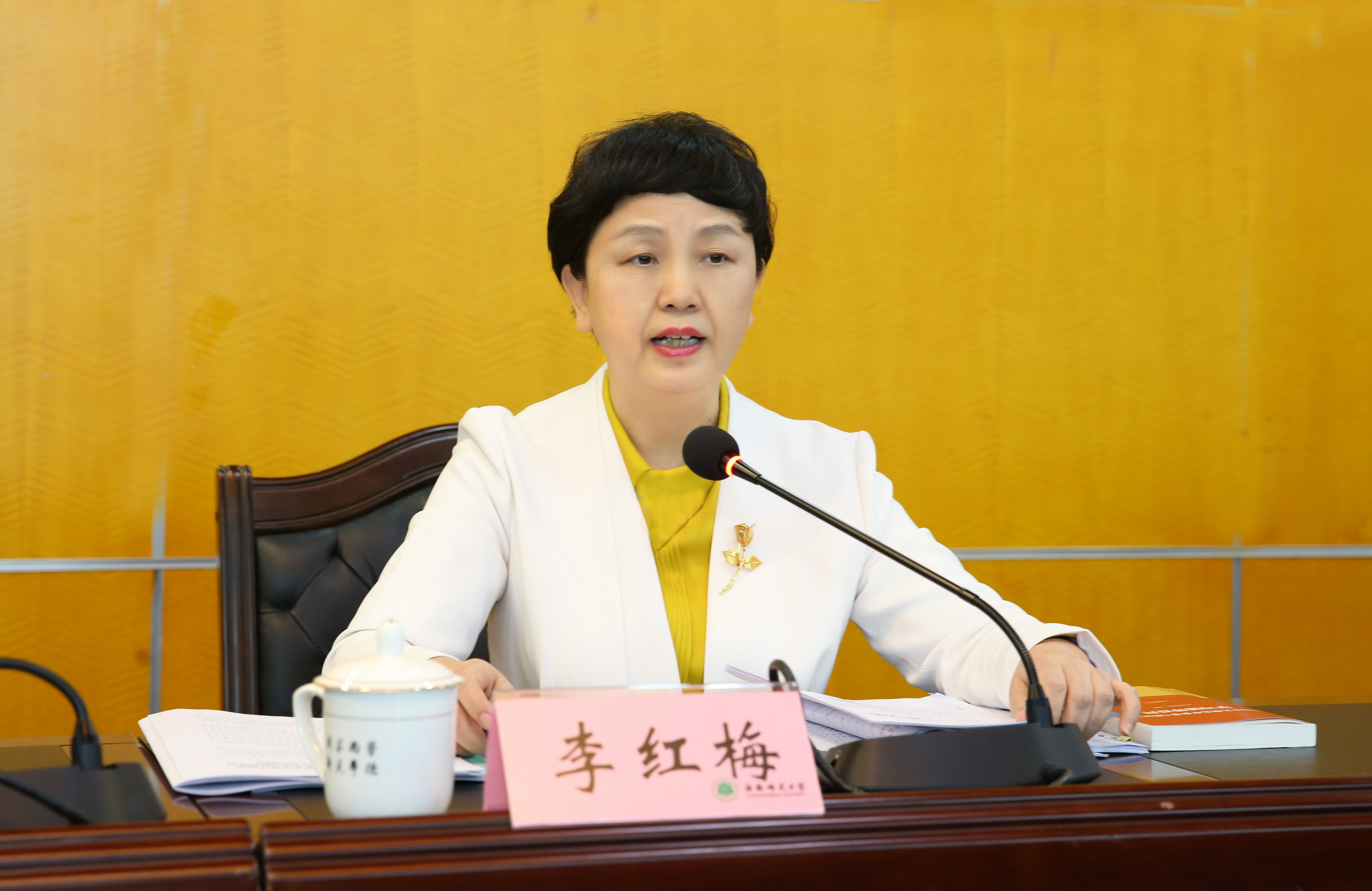 李红梅强调：进一步学习贯彻党的十九届五中全会精神，为海南自贸港建设贡献海师力量