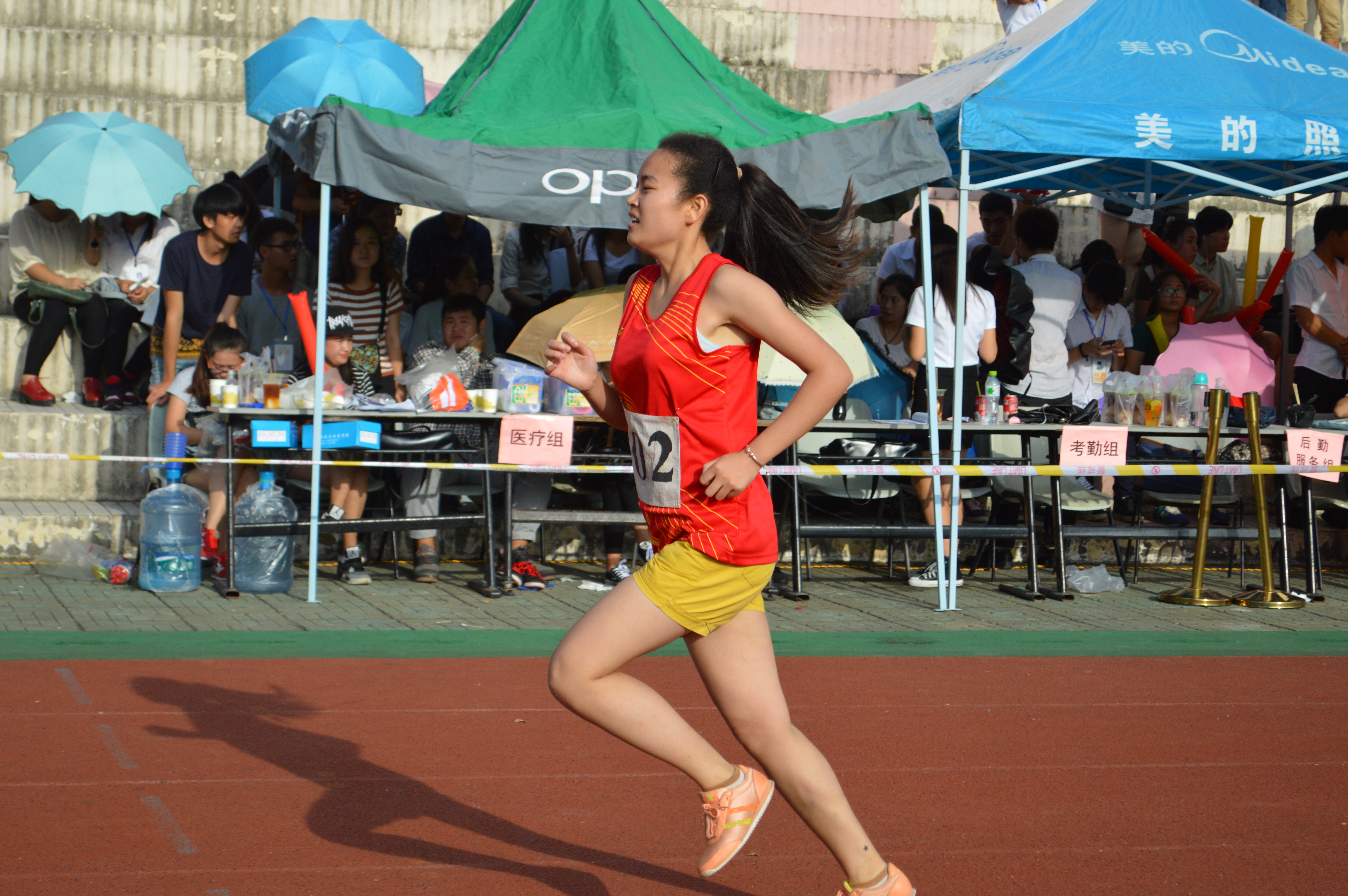 赛场拼搏，再创佳绩--记数学与统计学院第31届校运会风采