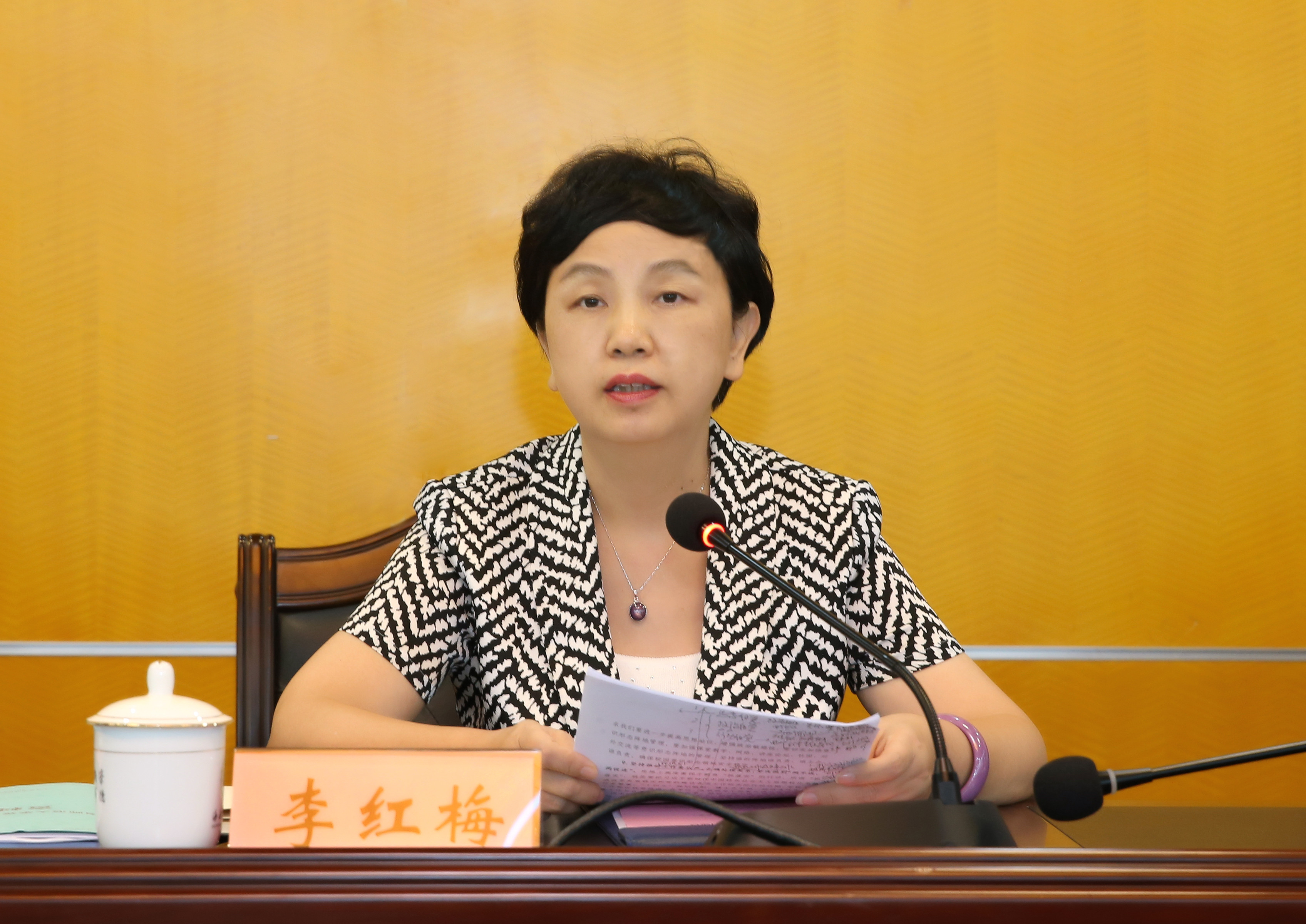 李红梅强调：学习贯彻党章等党纪党规以及习近平总书记关于巡视工作重要论述精神，全面加强党的建设，推动学校各项事业发展