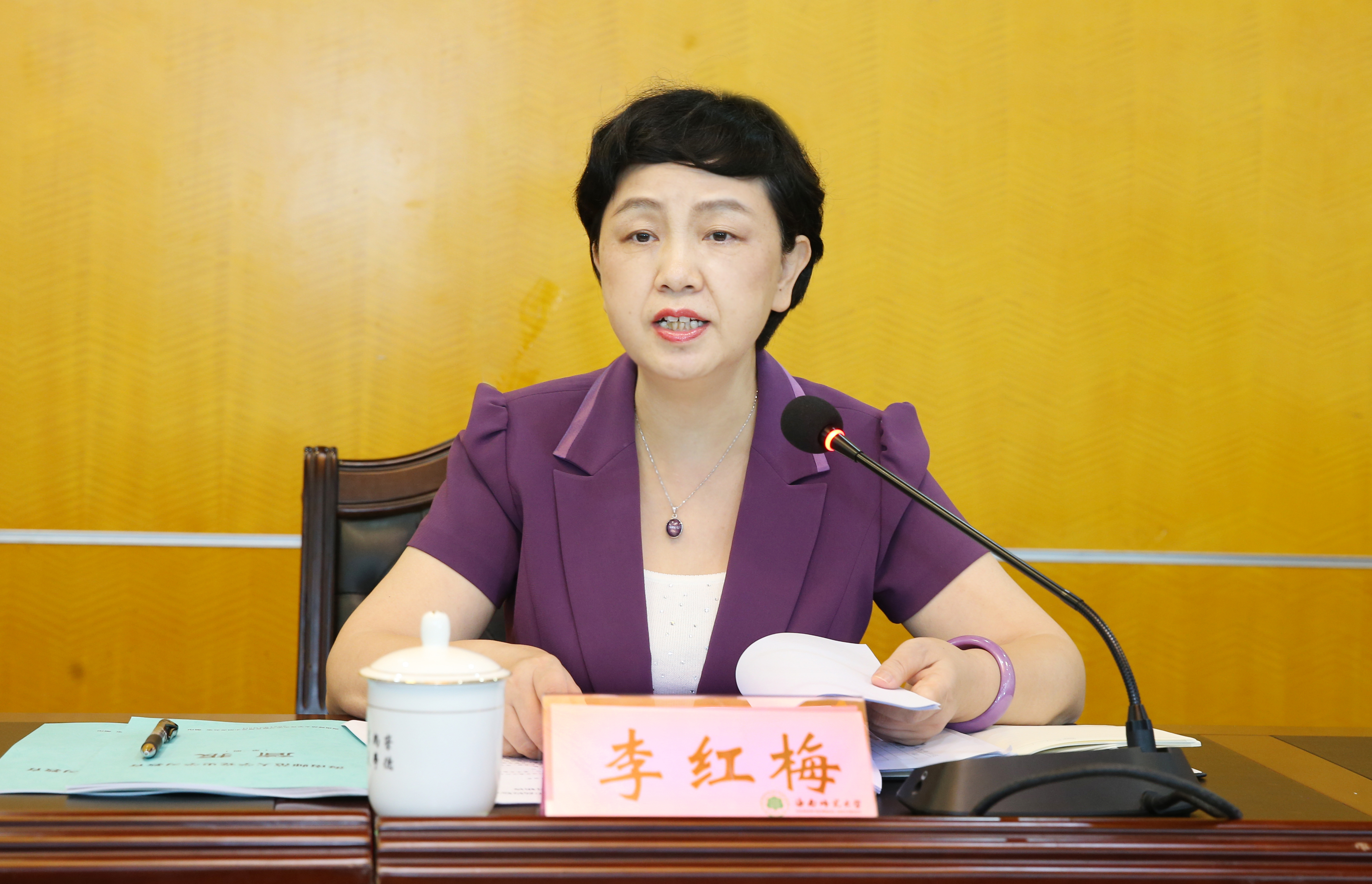 李红梅强调：强化使命担当，积极贯彻总体国家安全观