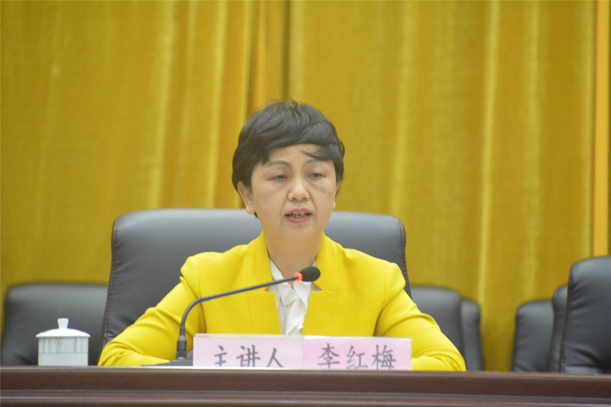 校党委书记李红梅在屯昌县宣讲十九届四中全会精神