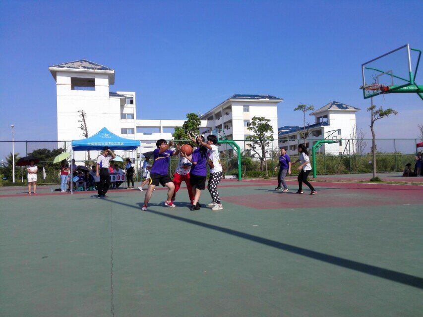 无篮球、不青春--记教育科学学院参加校级三人篮球赛并勇创佳绩