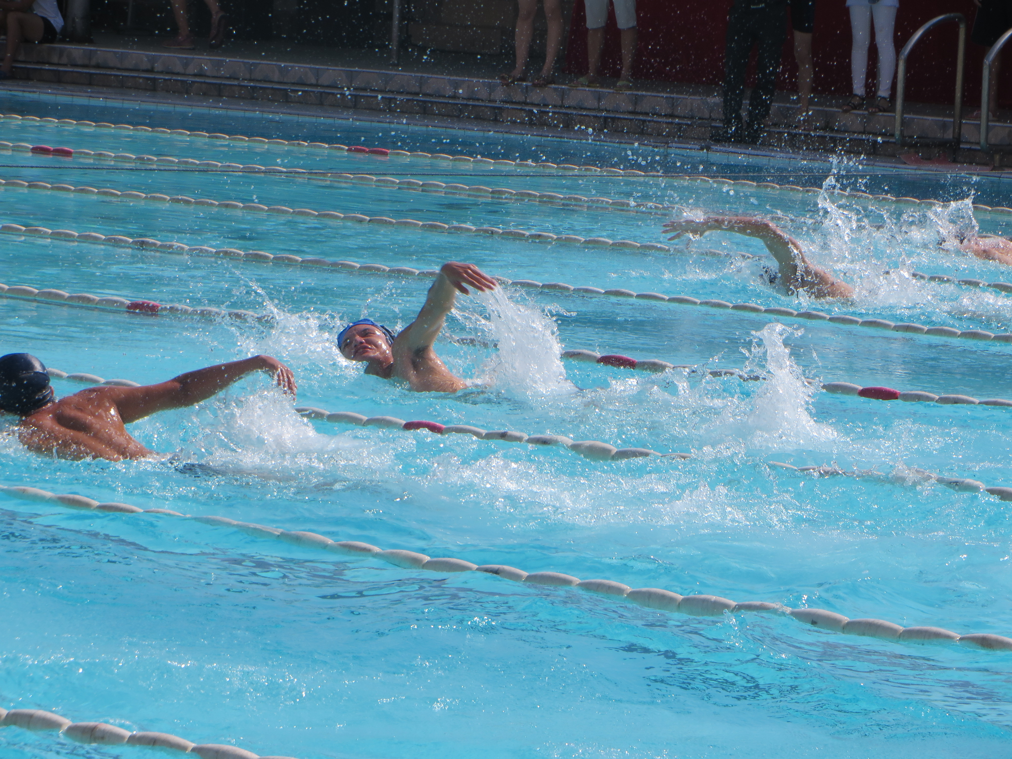 游出快乐,游出健康――记政法学院参与校第三届学生游泳比赛