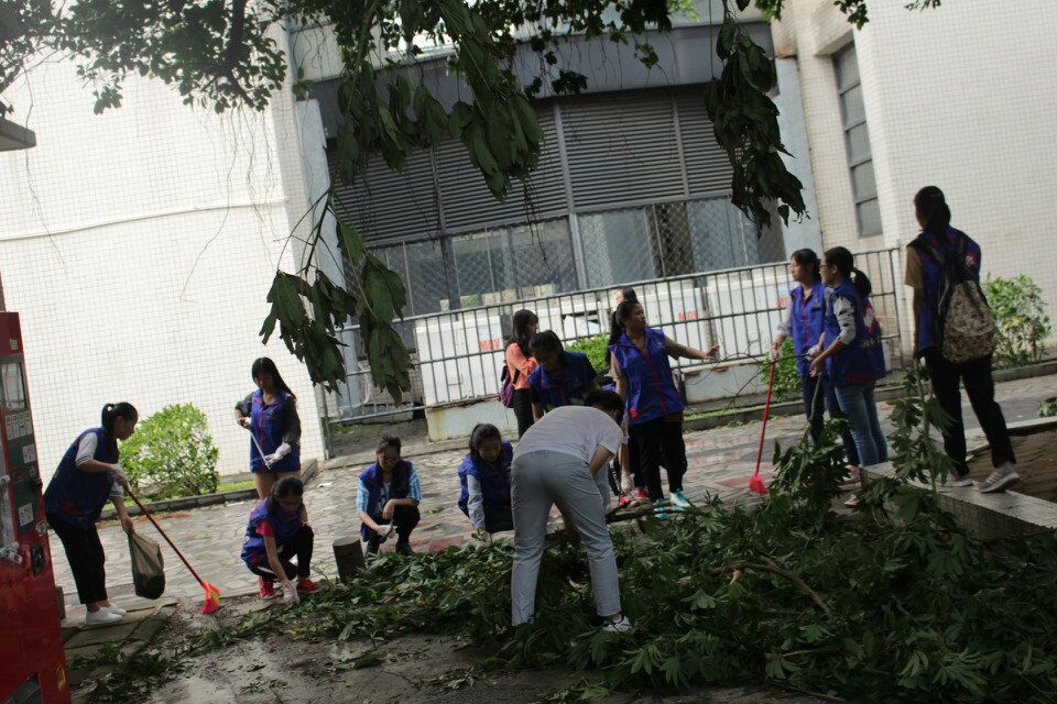 青年之声・不惧狂风，重整旗鼓――记物理与电子工程学院校园卫生清洁恢复事件