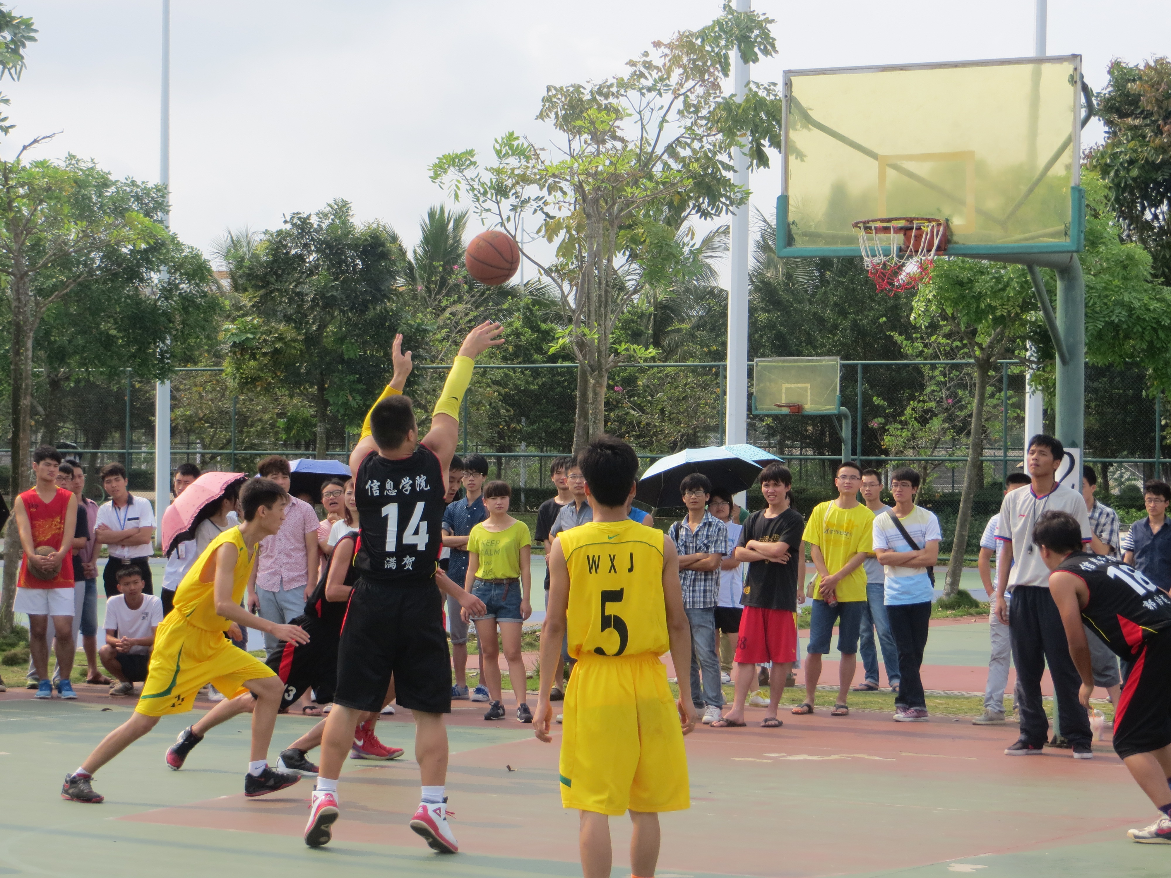 骄阳下舞动的身影，何不是青春的律动――海南师范大学2014年校园男篮女排比赛紧张进行