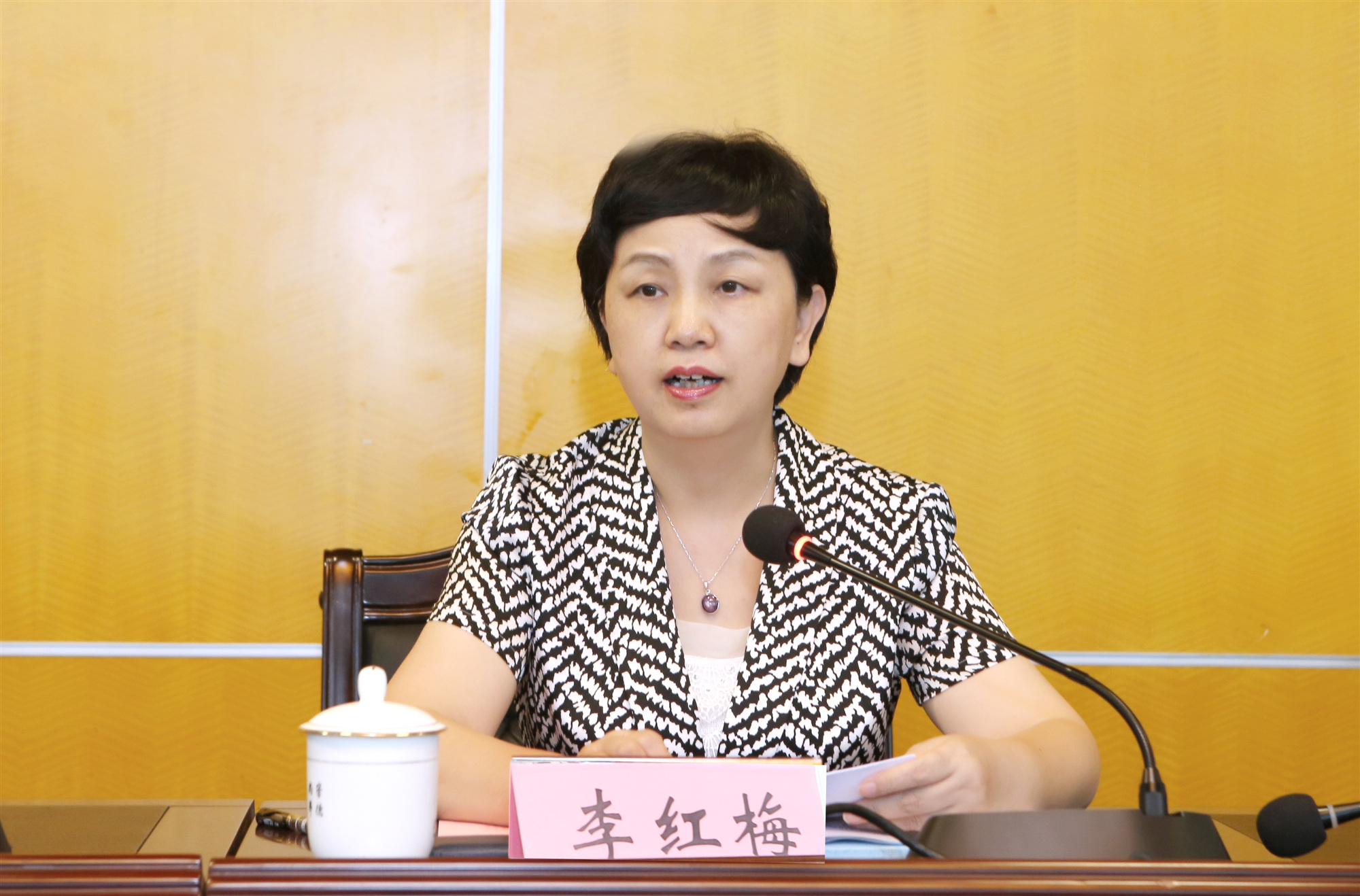 李红梅：扛牢“稳就业，保就业”重大政治责任，体现海师担当