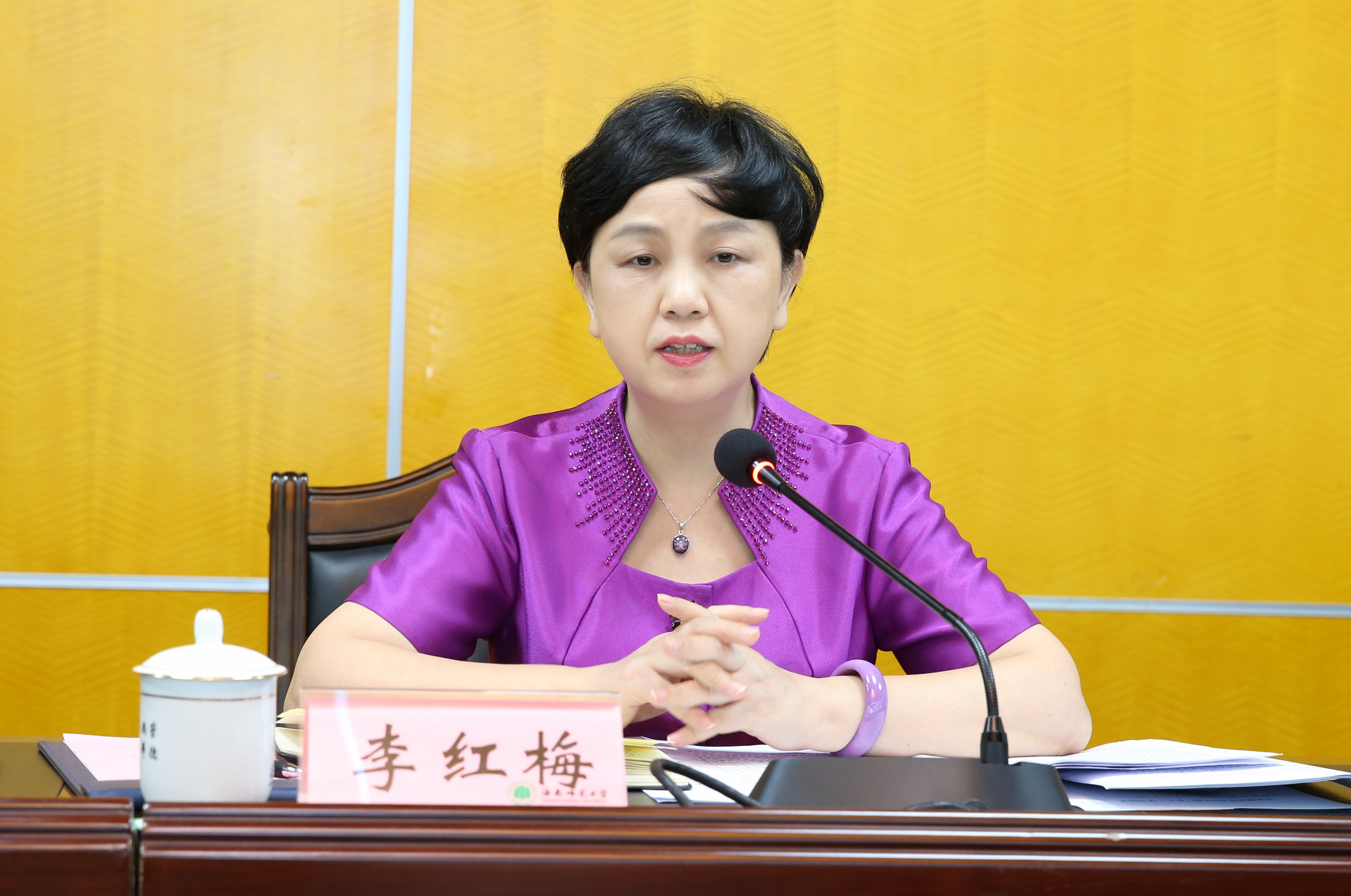 李红梅强调：解放思想 凝心聚力 勇担海南自由贸易港建设历史使命