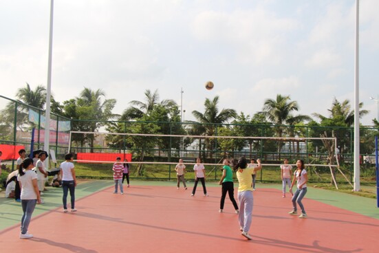 篮排托起青春活力之花――记经济与管理学院“迎新杯”男篮女排比赛