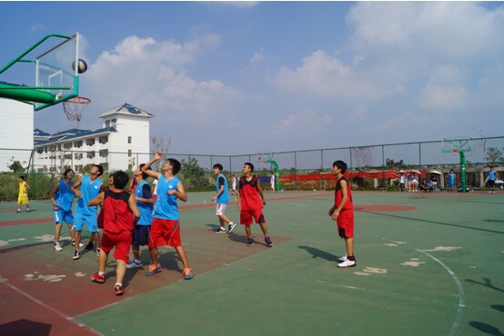 篮排托起青春活力之花――记经济与管理学院“迎新杯”男篮女排比赛