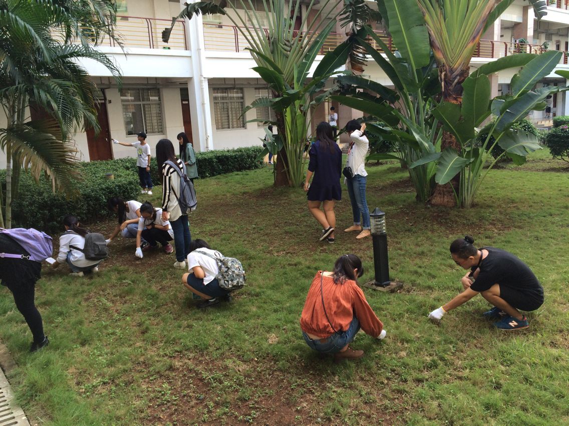 助力双创，经管在路上――记经济与管理学院“双创”校园清洁活动