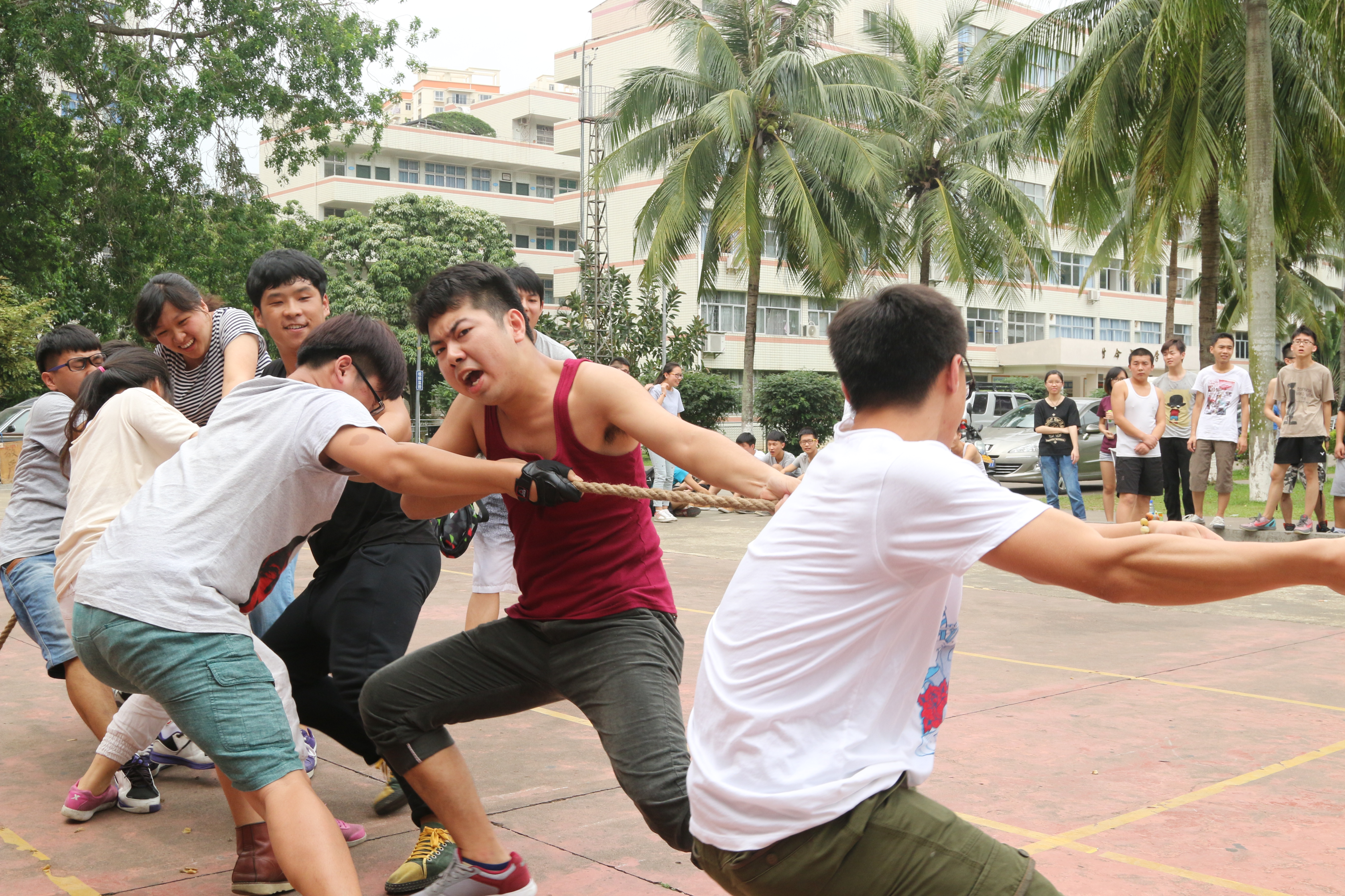 魅力四月团结拼搏――记美术学院拔河比赛