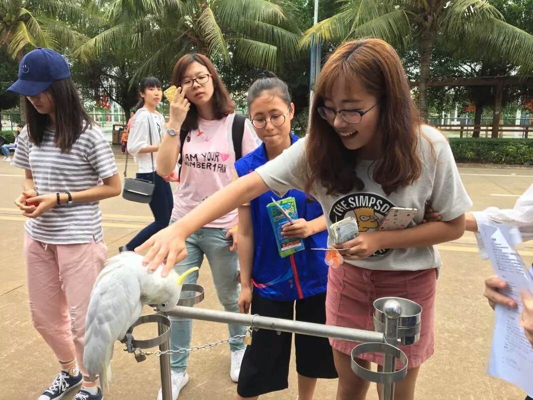 青年之声·记新闻传播与影视学院“保护动物”摄影展活动