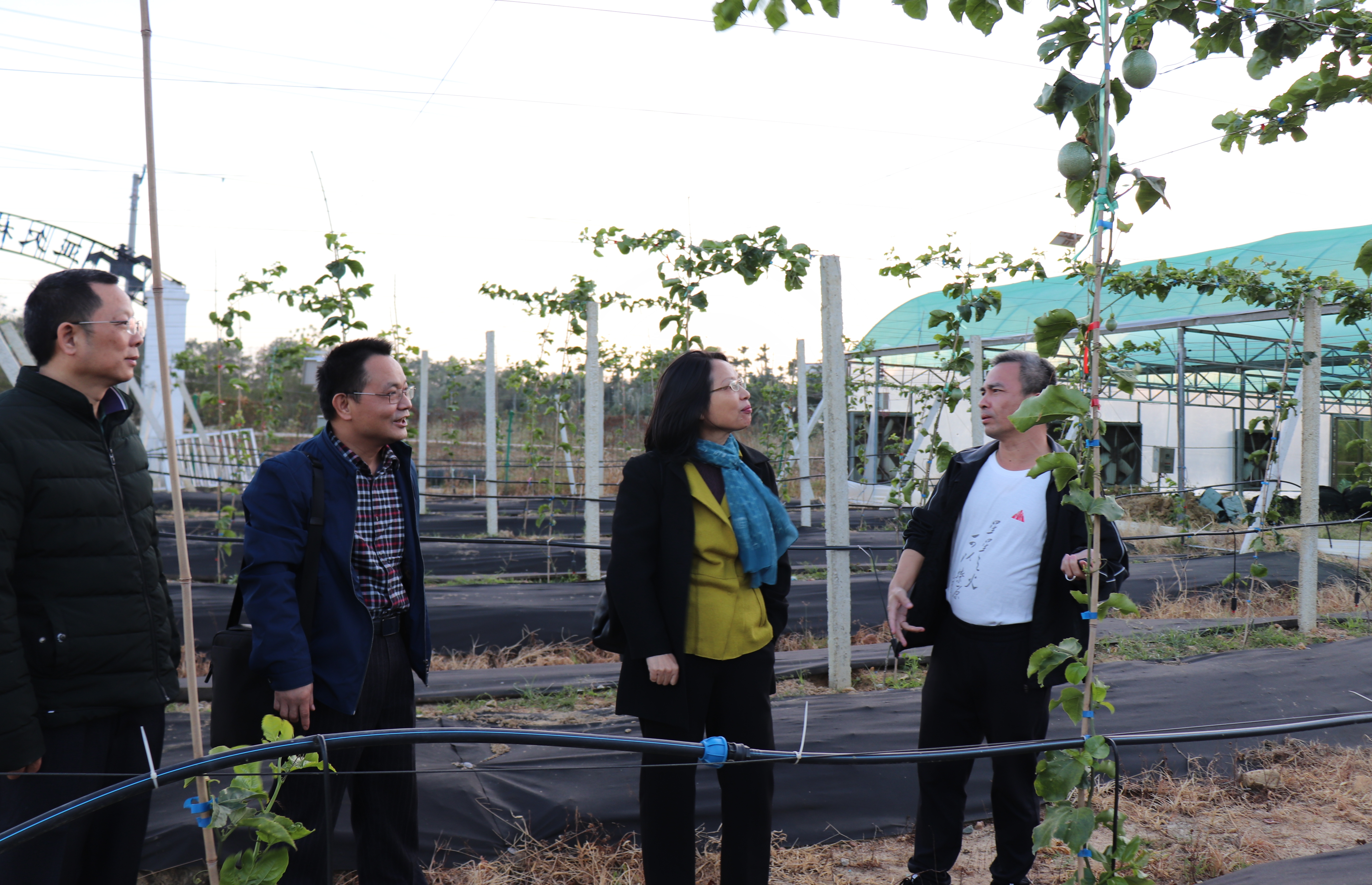 海南师范大学艺术团开展惠民演出、助力文化扶贫