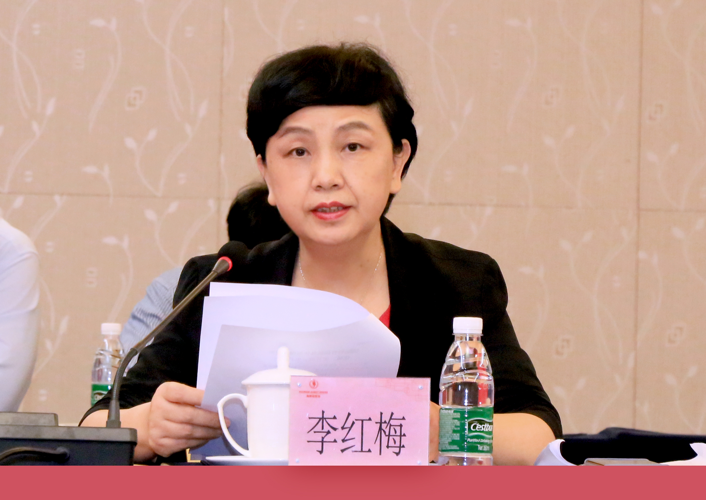 李红梅参加省社科界“‘4・13’改变海南”专题座谈会