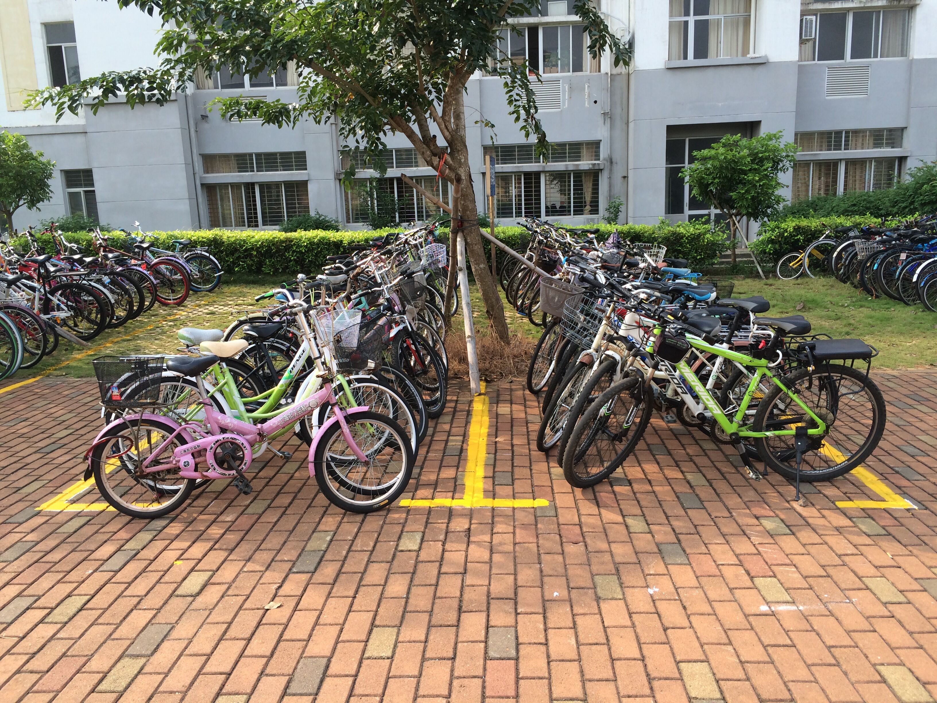 “双创”从我做起――记文学院双创工作