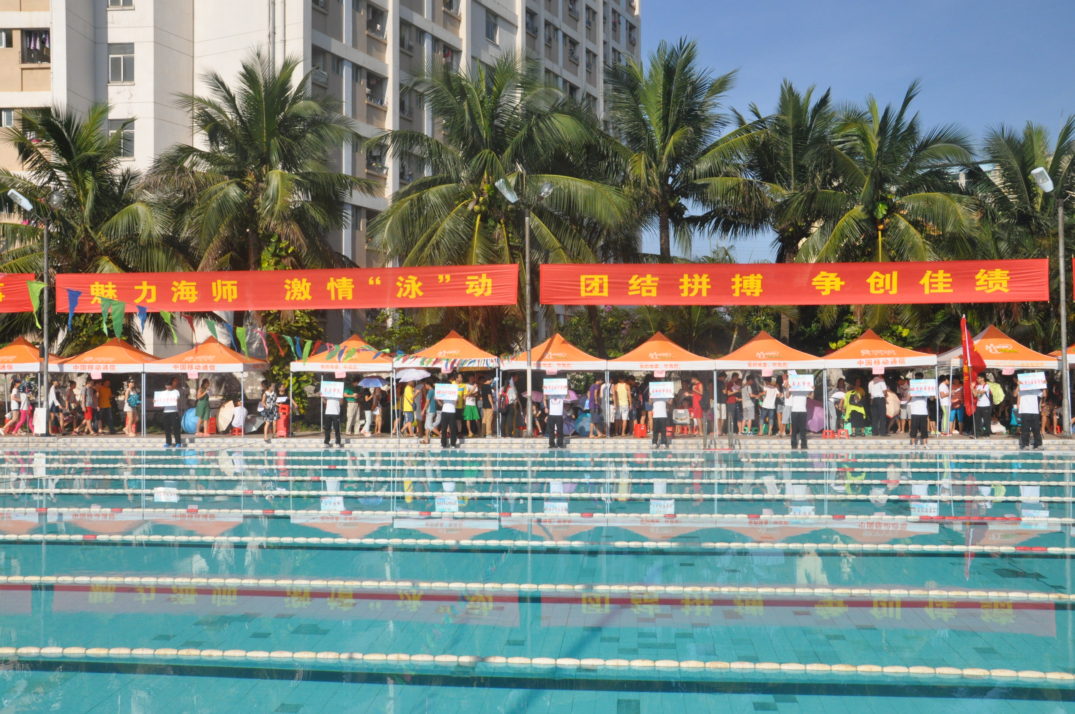 我校第三届学生游泳比赛：直击赛场