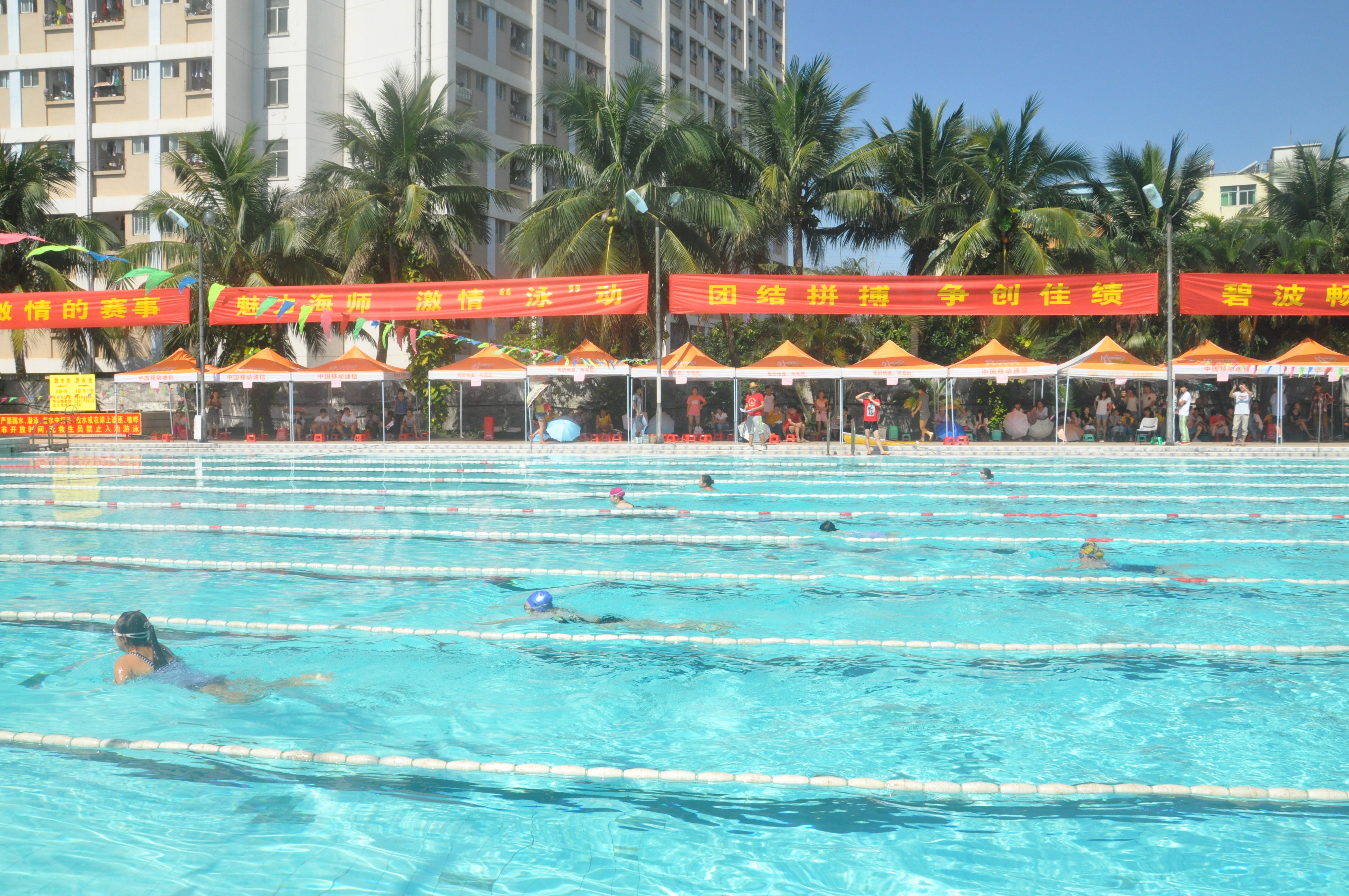 我校第三届学生游泳比赛：直击赛场