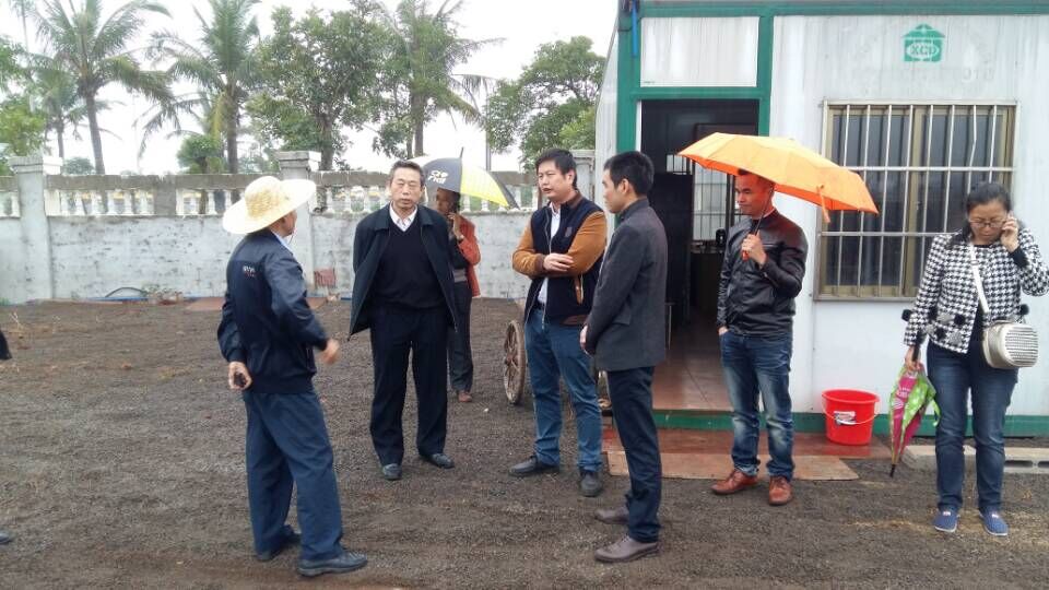 校领导主持召开桂林洋校区在建项目工地例会