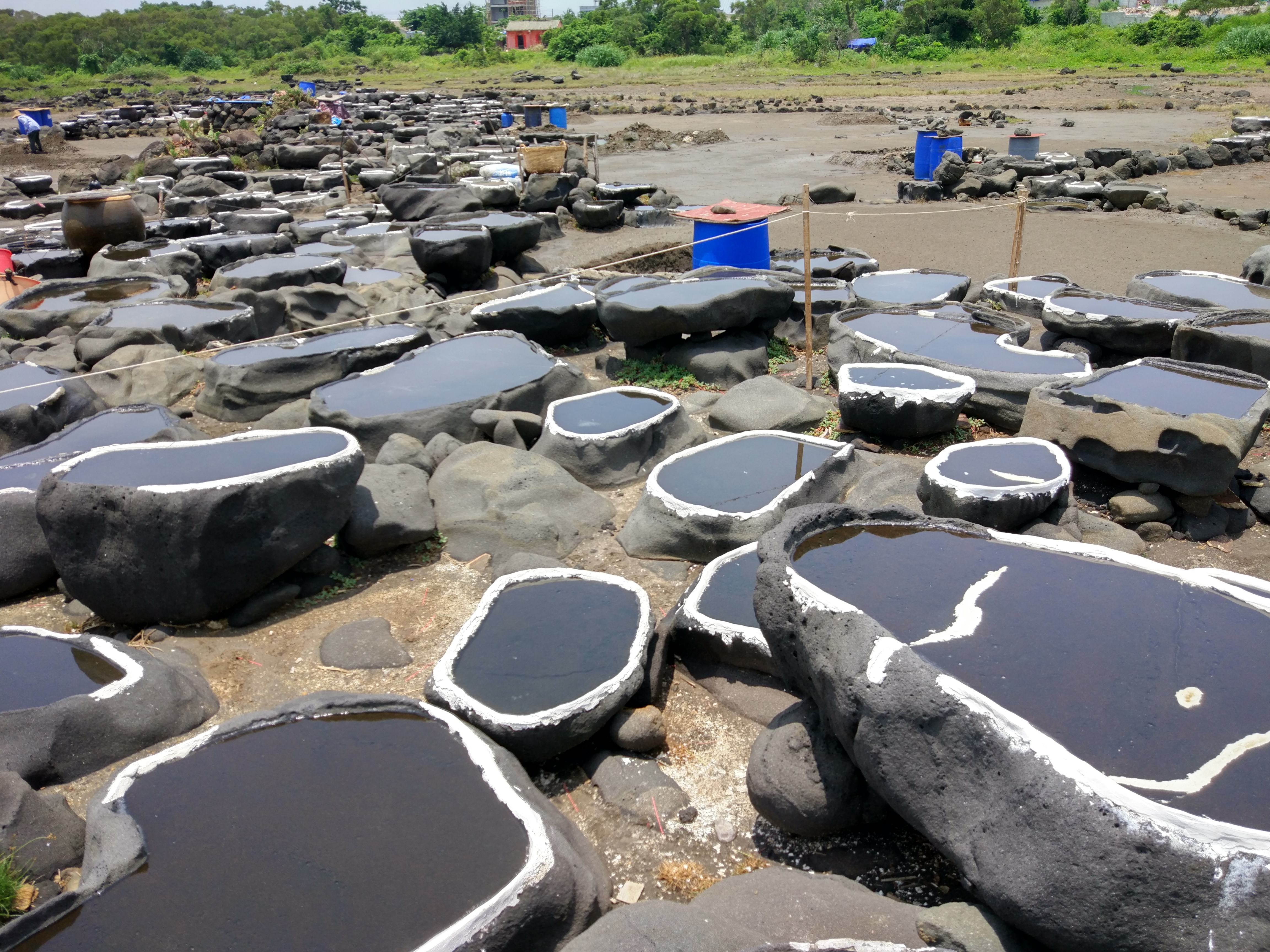 青年之声・我校新闻学子赴儋州开展海南乡村旅游文化节直播活动