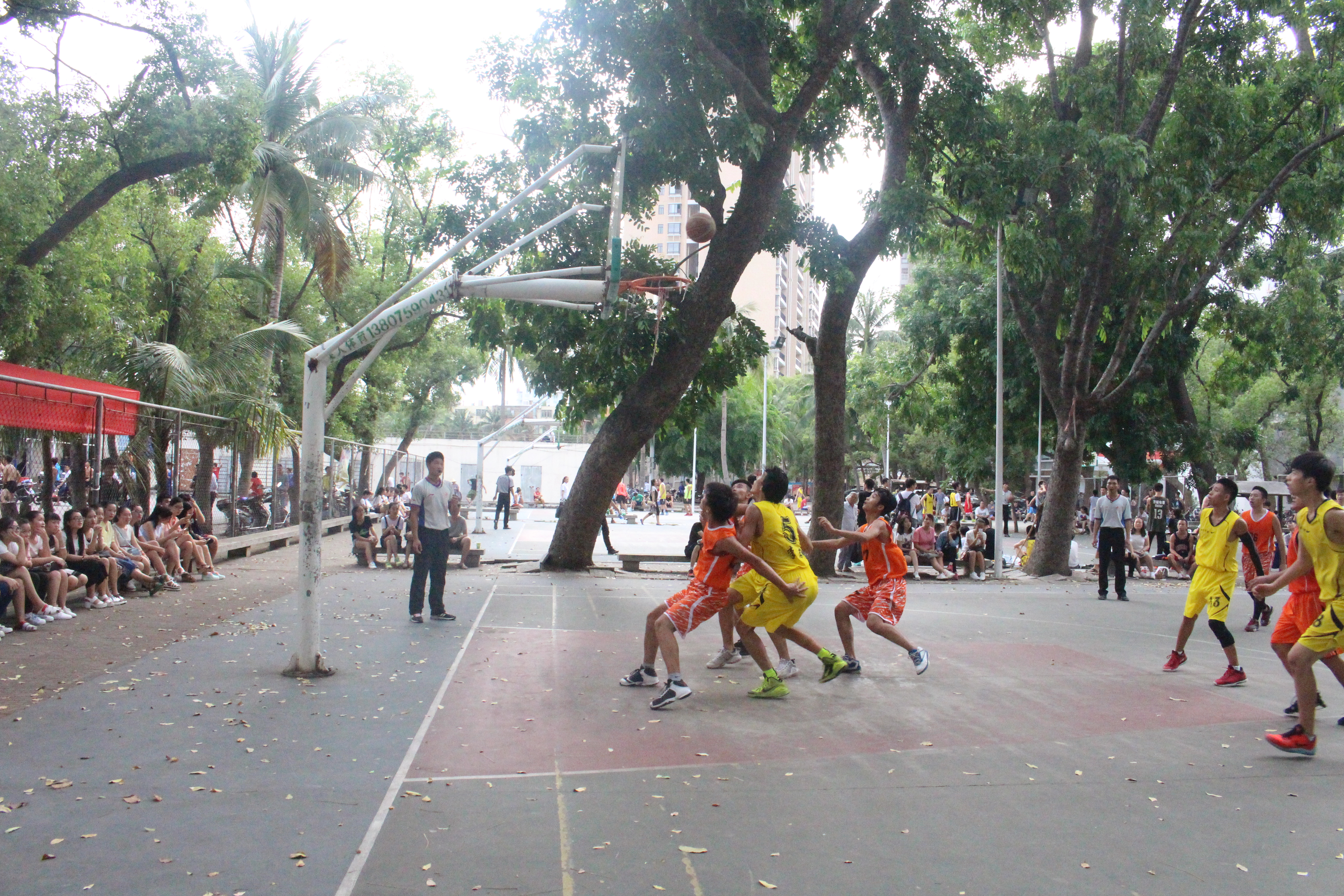 王者归来,谁与争锋――记海南师范大学“欢送杯”篮球赛决赛(南校区)