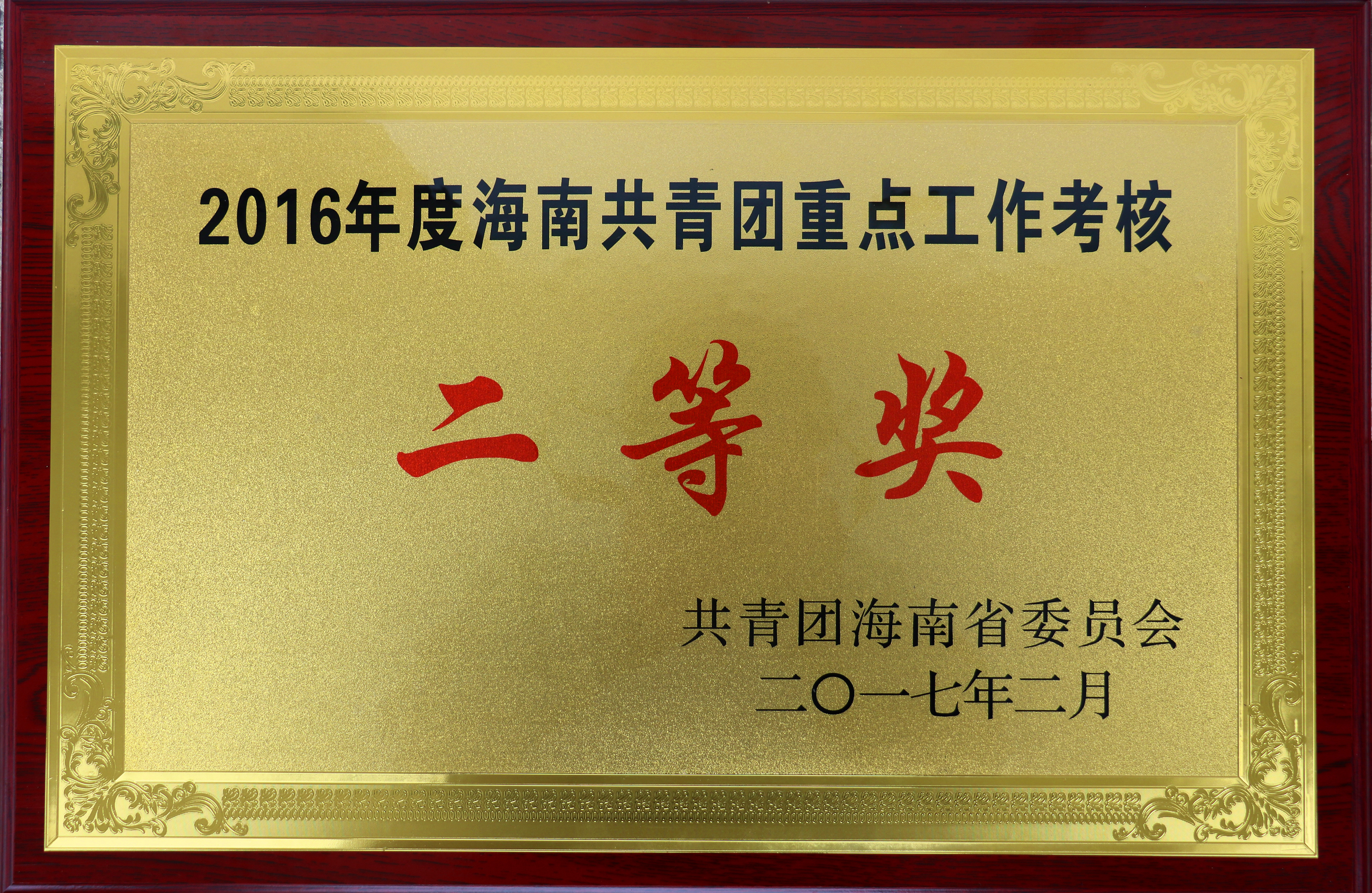 校团委获2016年全省高校共青团重点工作考核二等奖