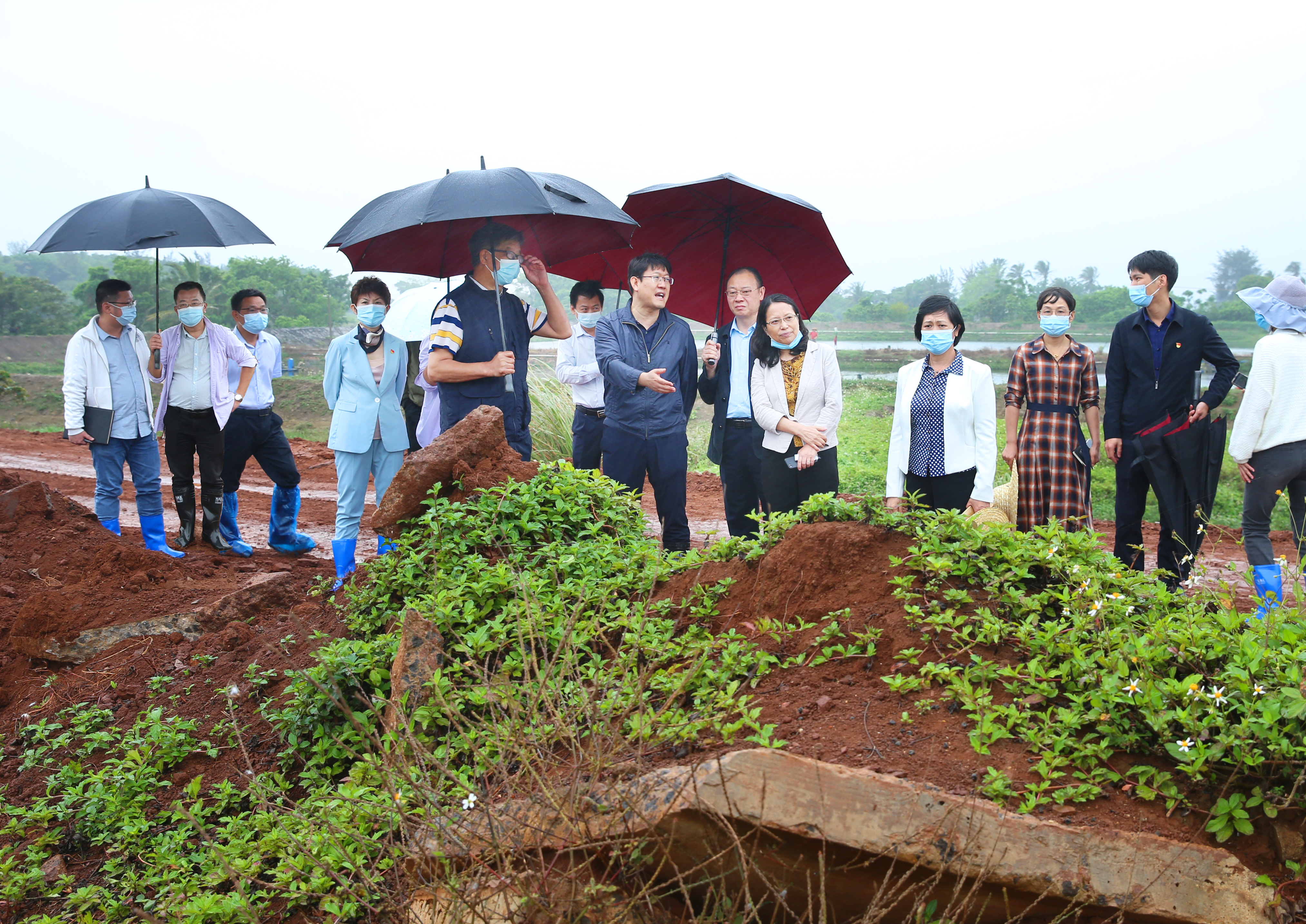 校领导调研桂林洋校区基建工作