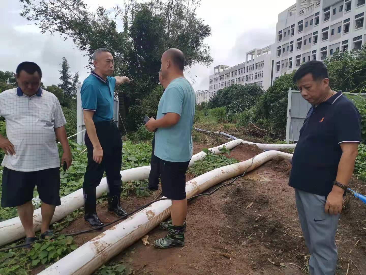 为师生办实事：桂林洋校区解决污水外溢问题