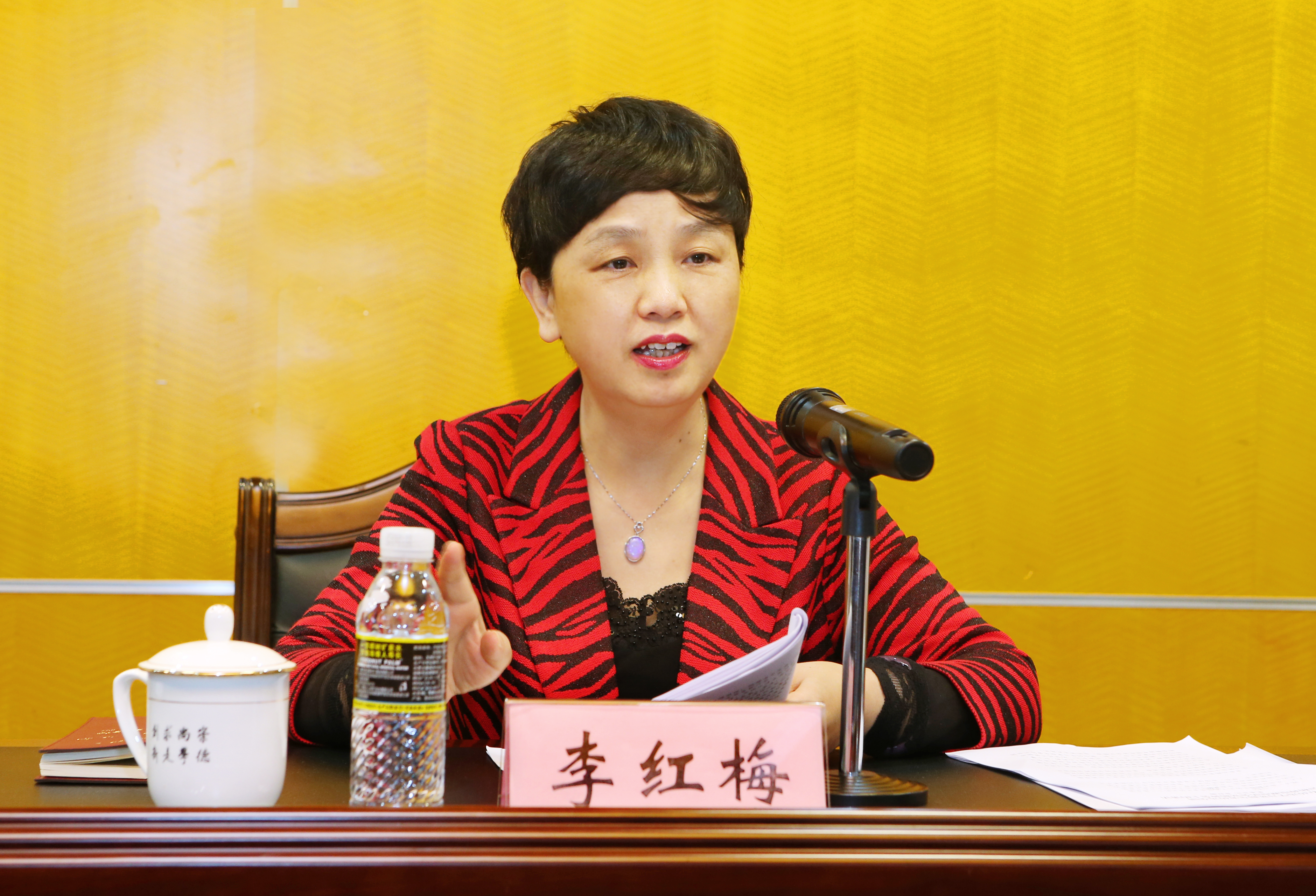 传达学习全国两会精神 全面推进学校科学发展