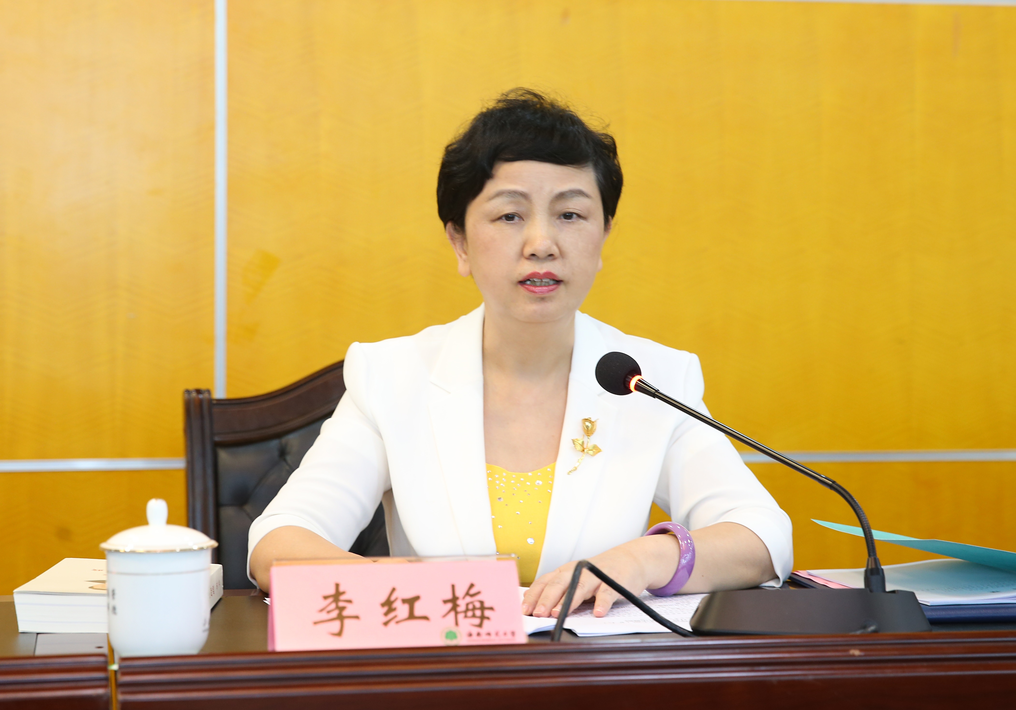 李红梅上强调：落实立德树人根本任务  用习近平新时代中国特色社会主义思想武装头脑 指导实践 推动工作