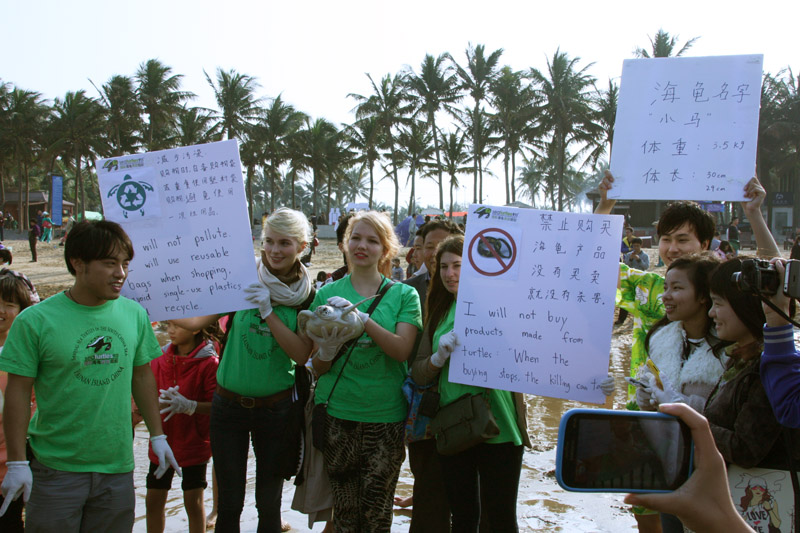放生海龟，环保在我心——记生命科学学院海龟放生活动 