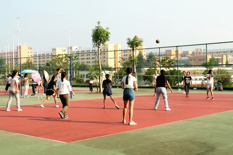 践行“三走” 挥洒青春――记外国语学院举办“迎新杯”男篮女排