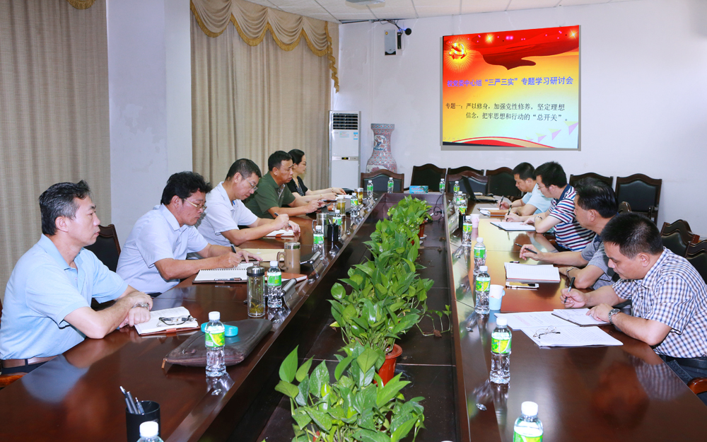 我校党委中心组召开“三严三实”专题学习研讨会