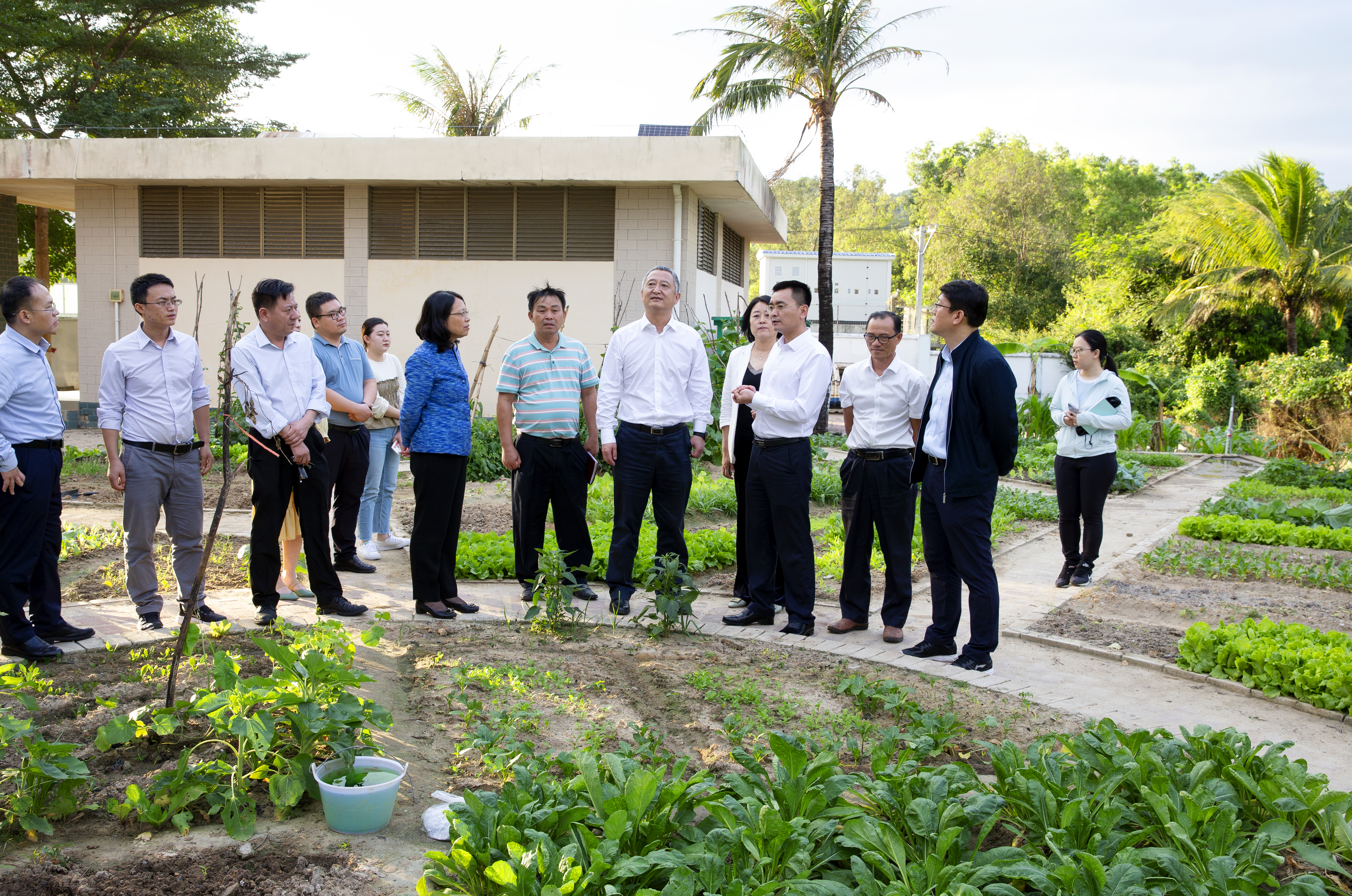 李湖赴三亚、陵水调研乡村振兴、校地共建及校友工作