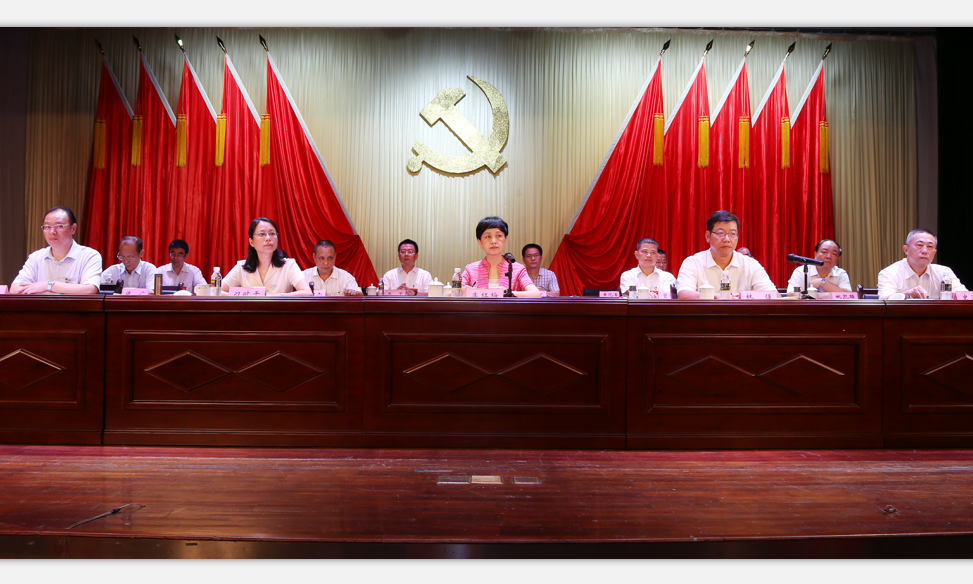校第一次党代会举行正式选举大会