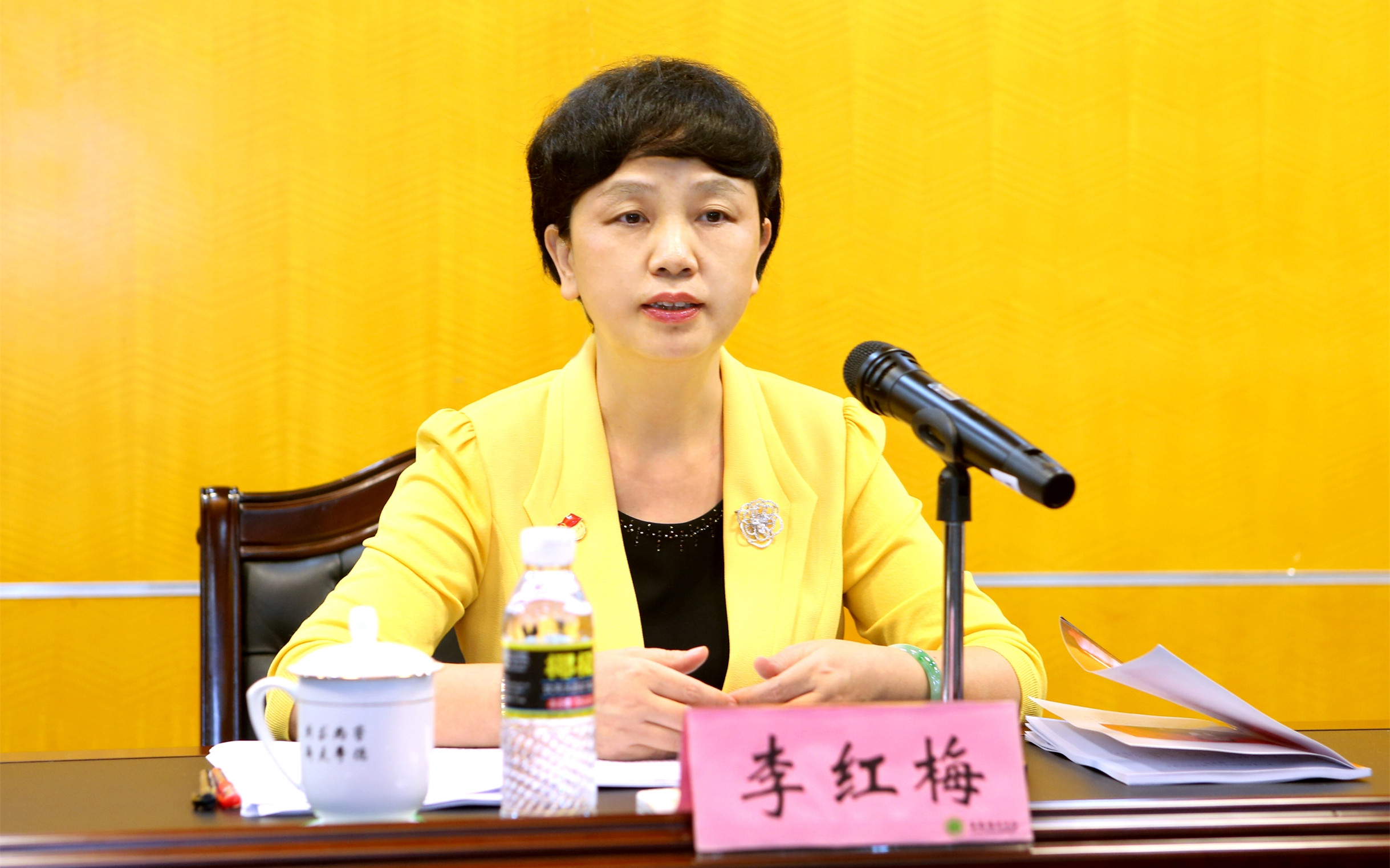 我校举办学习贯彻党的十九大精神专题培训班 李红梅书记作第一讲