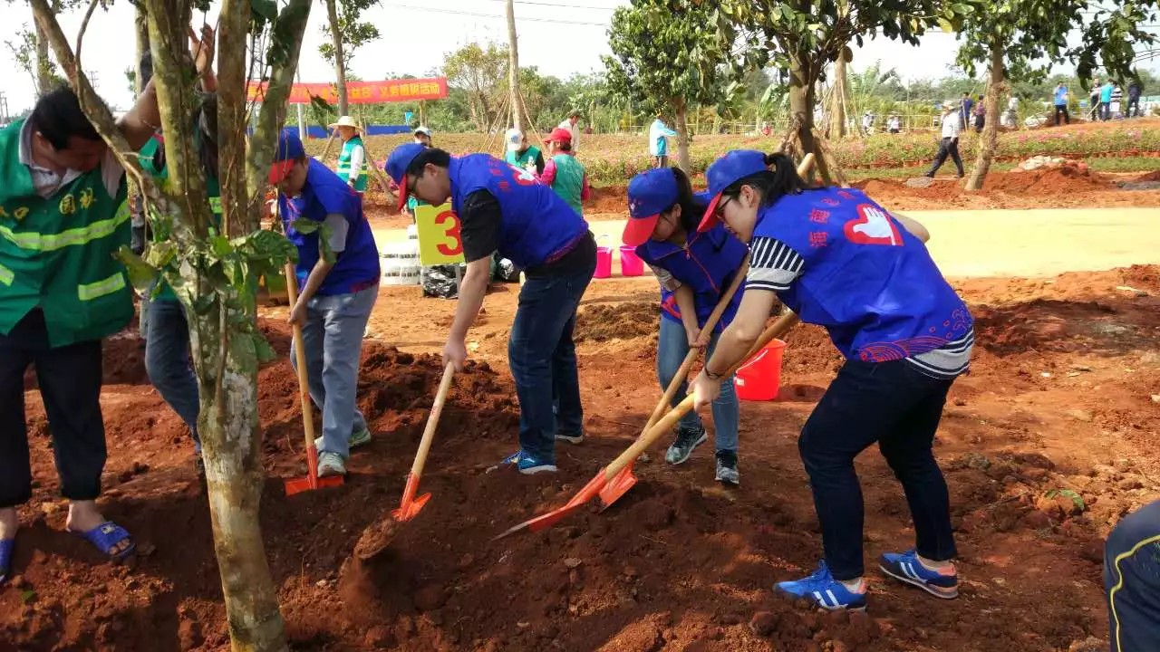 我校志愿者参与“全民公益日”义务植树活动
