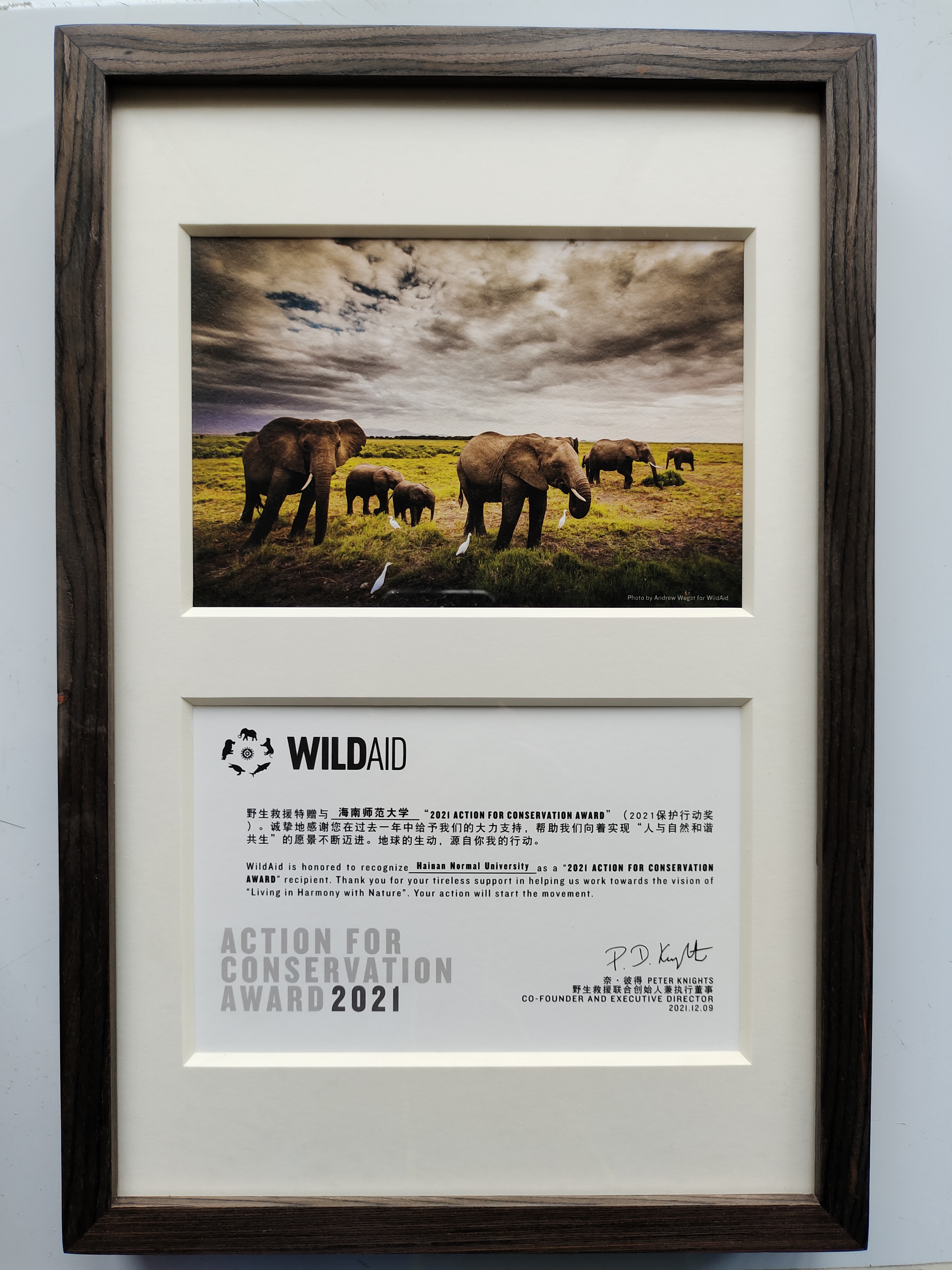 我校海龟保护工作获野生救援（WildAid）授予“2021保护行动奖”