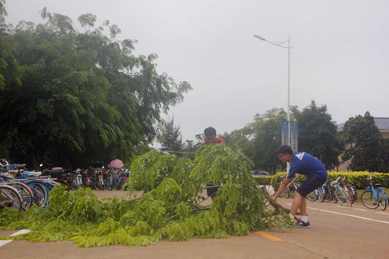 爱国卫生,积极行动――记文学院“爱国卫生日”清扫校园环境卫生活动