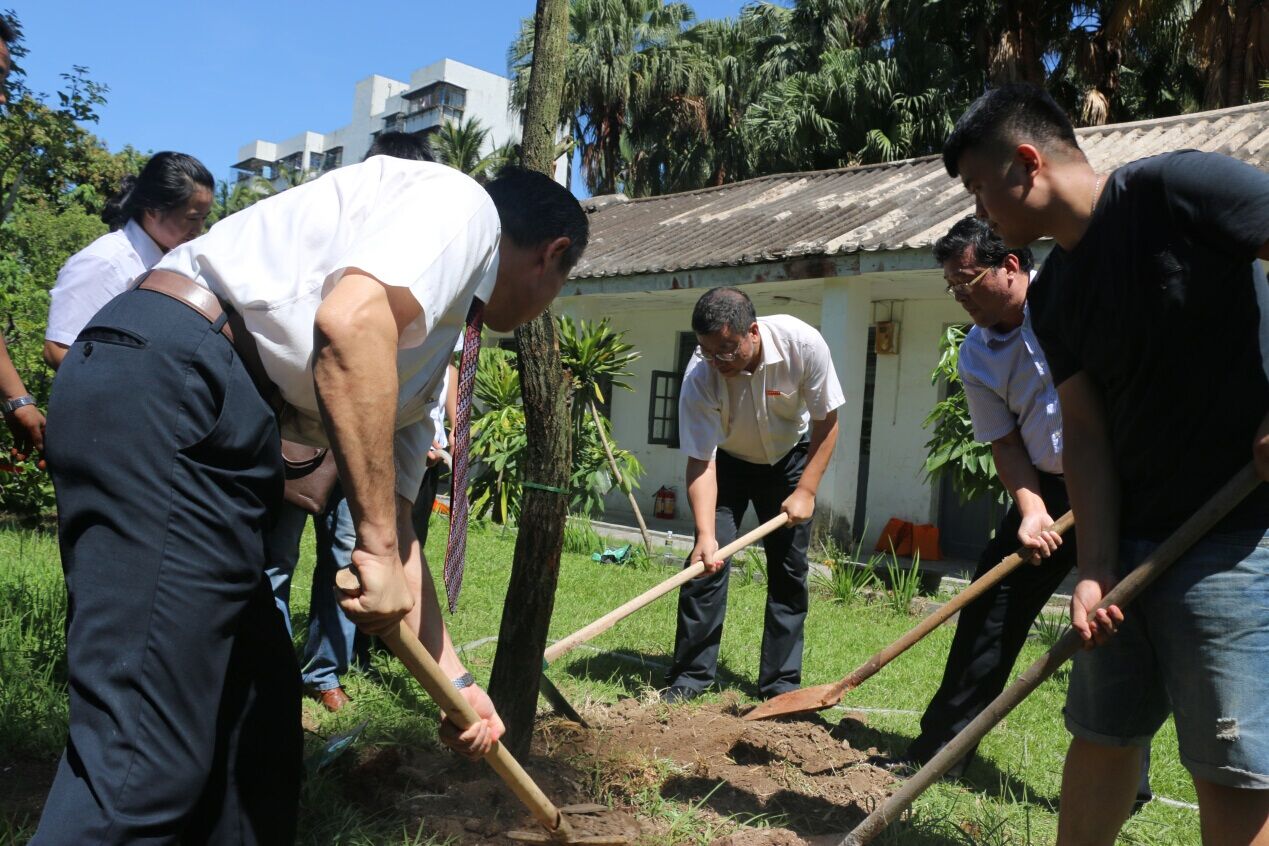 2015届毕业生植树纪念