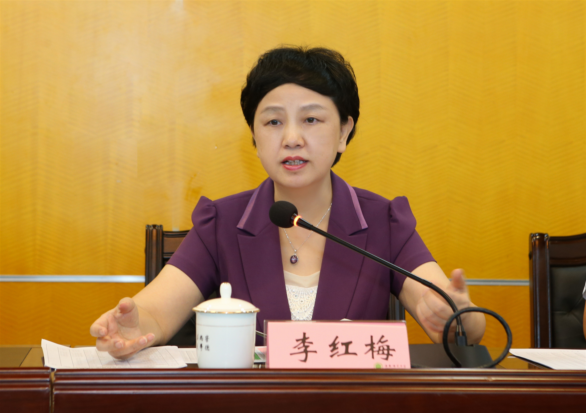 我校召开人才引进工作推进会议