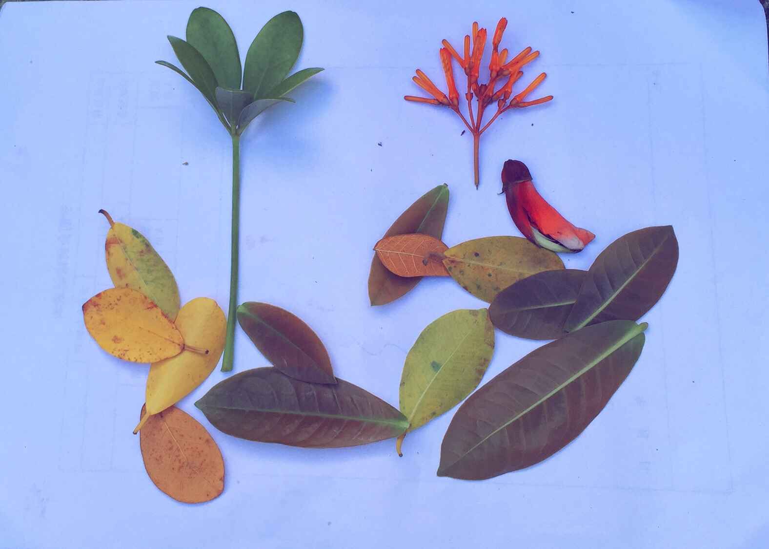 走进大自然,美化你我共同的家园――体育学院高尔夫班“双创”之“变废为宝”实践活动