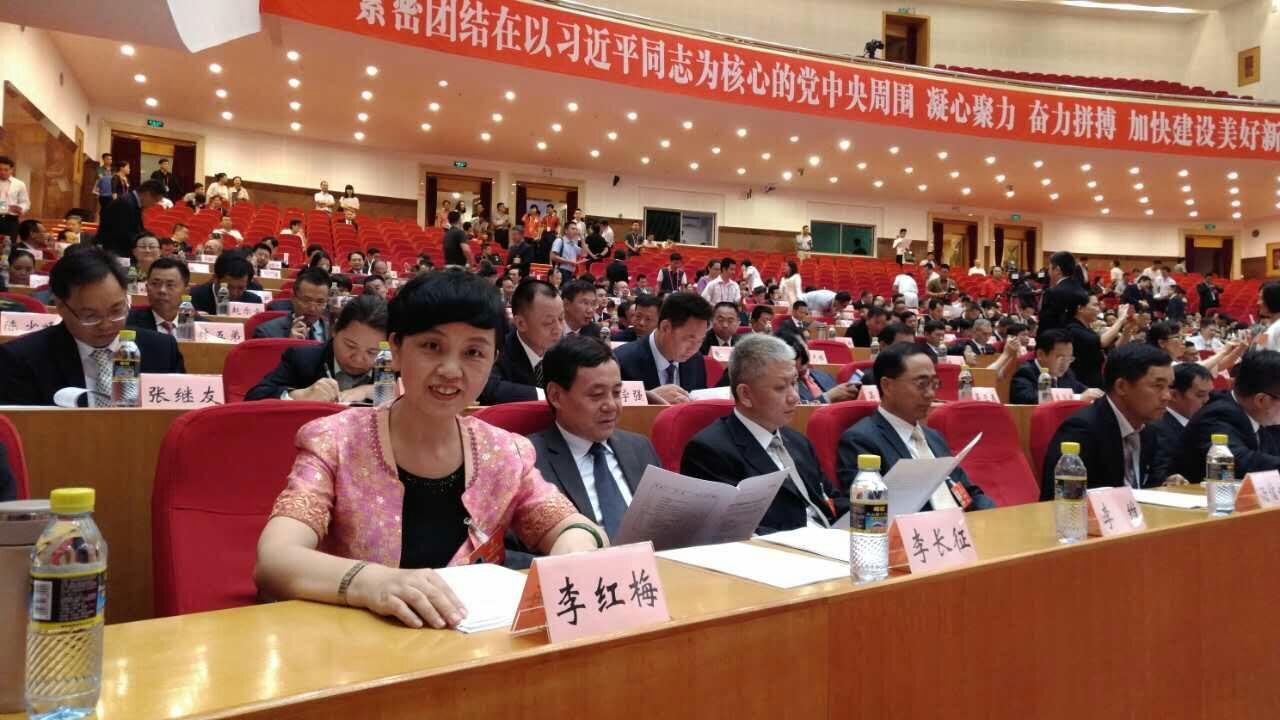 中国共产党海南省第七次代表大会开幕 李红梅书记出席大会