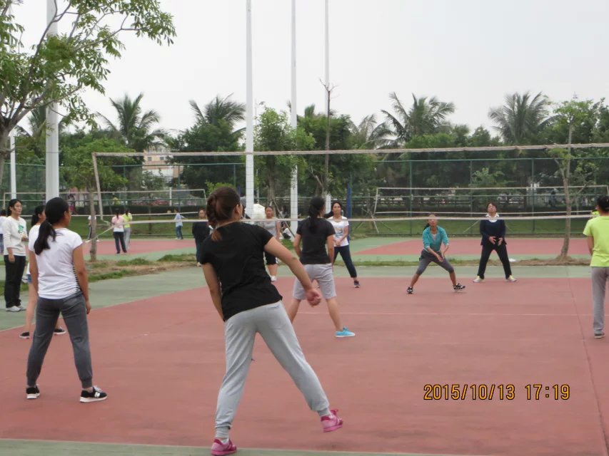 矫健身姿现赛场，激情活力传校园――记政法学院“男篮女排”比赛活动