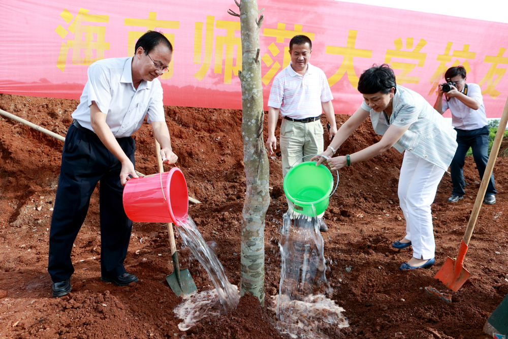 我校桂林洋校区校友林揭牌