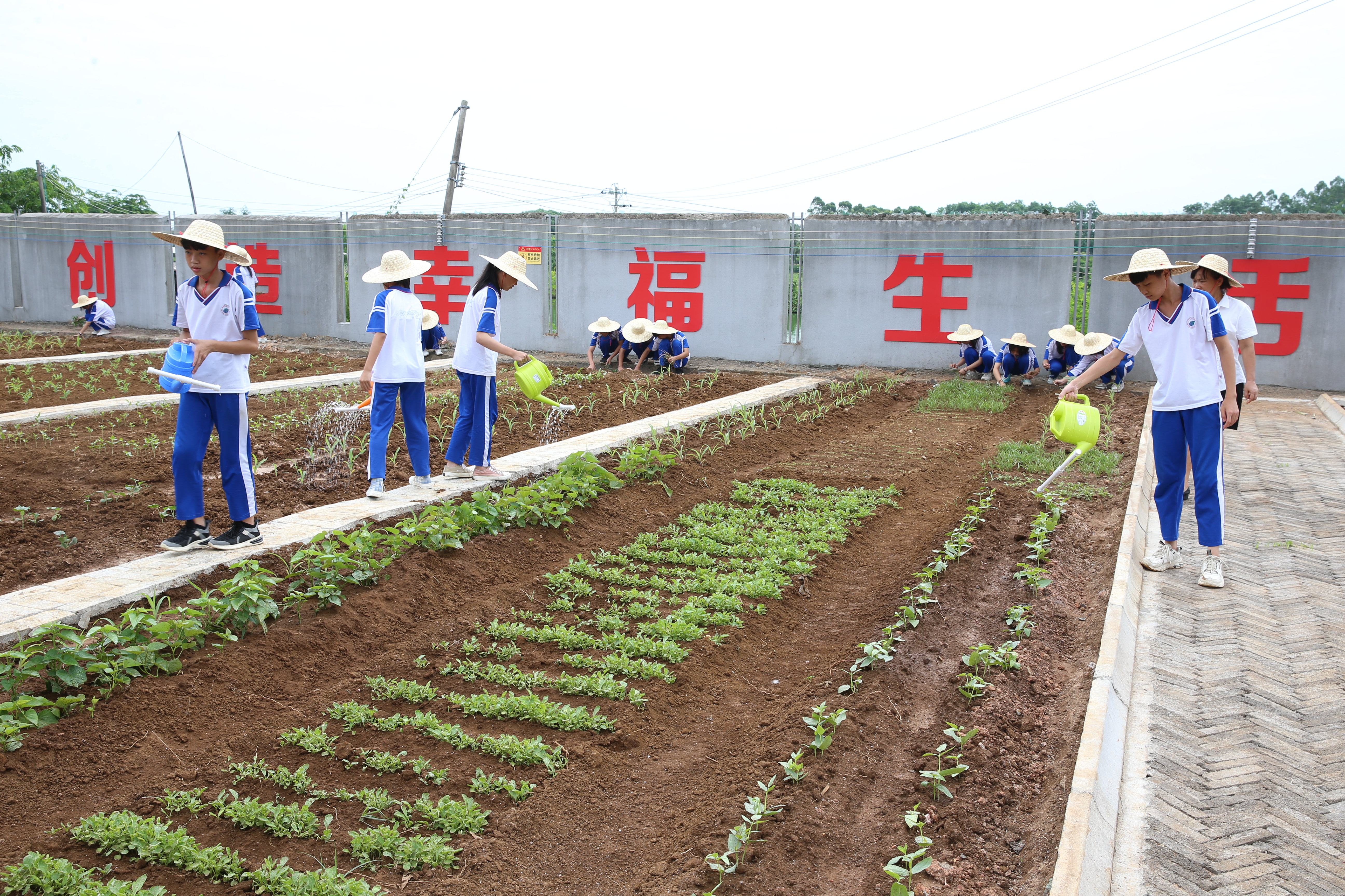 海南师范大学劳动教育创新试验基地在定安揭牌成立