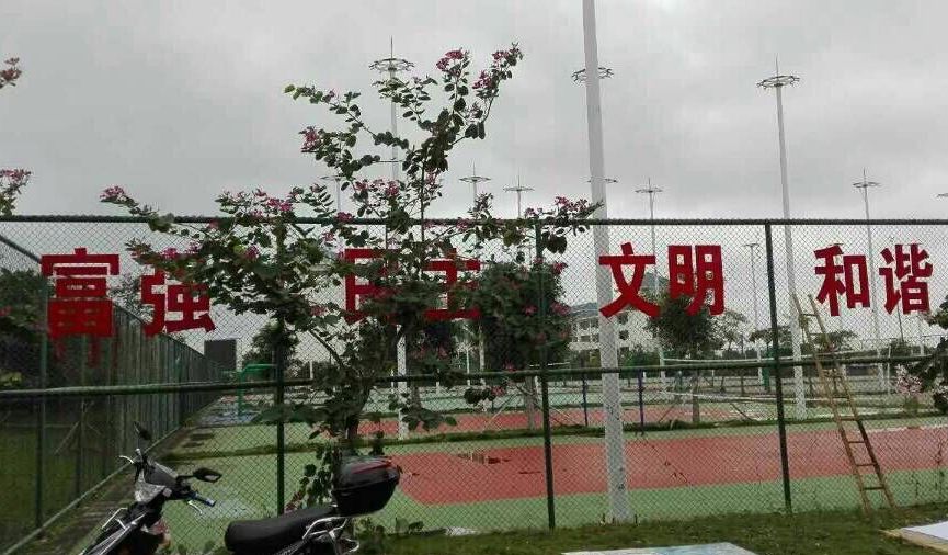 【“双创”专题】我为“双创”添光彩（二）