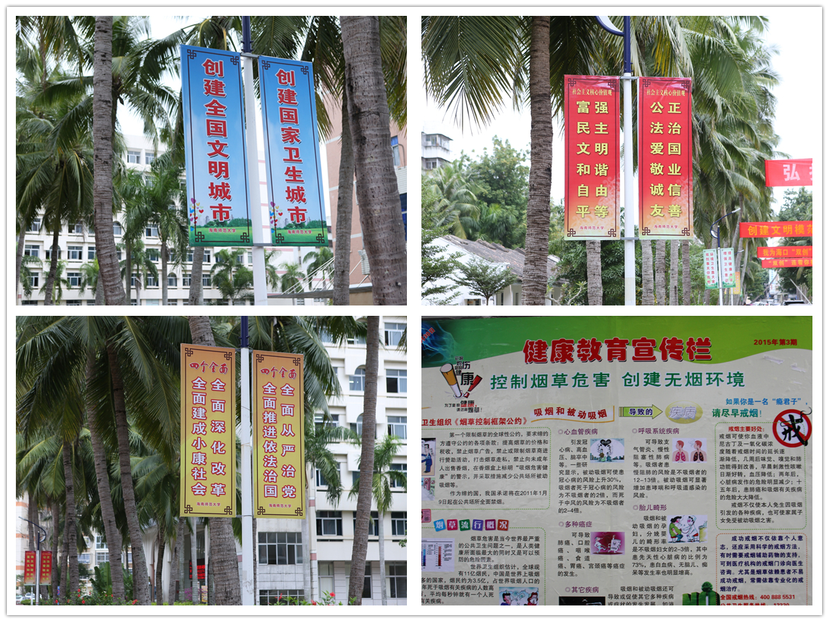 【“双创”专题】我为“双创”添光彩（二）